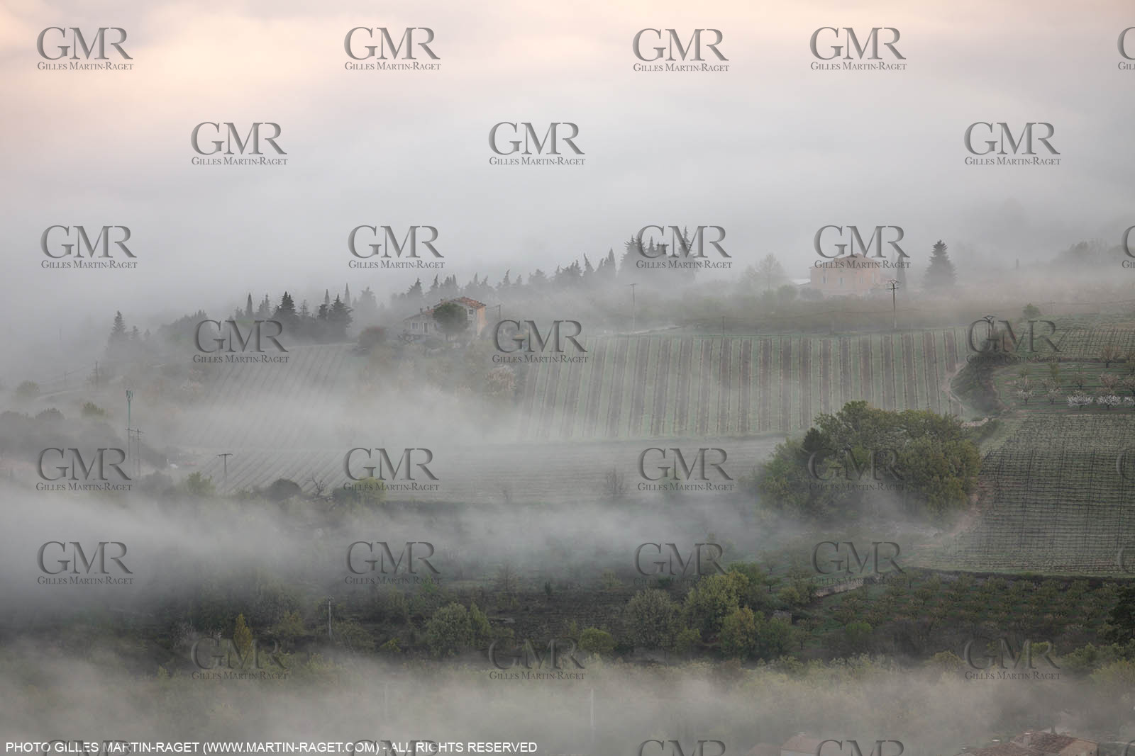 12 04 2016, Luberon National Park