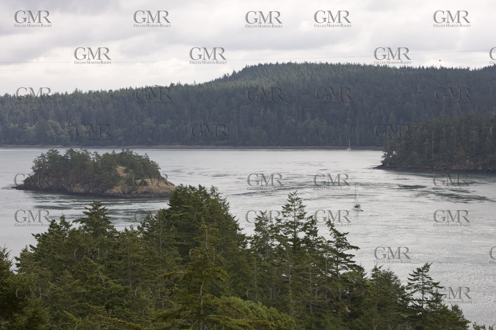 01 09 2008 - San Juan Islands (WA, USA) - Killer Whales