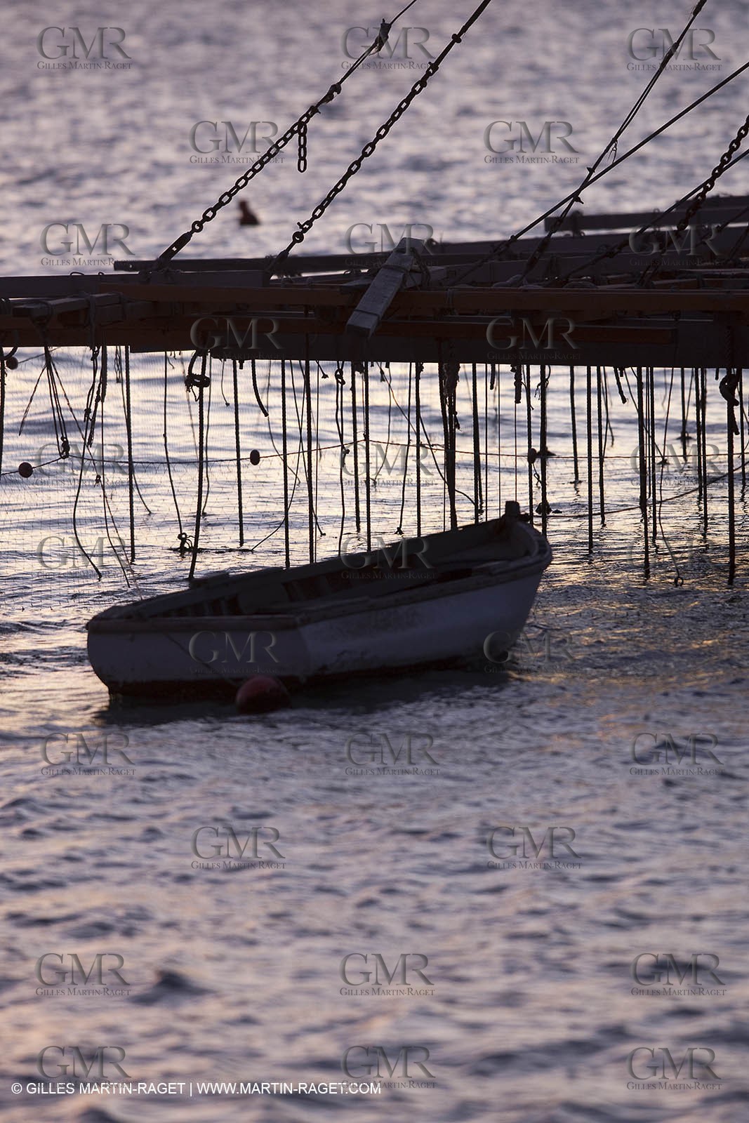27 01 2010 - Valencia (ESP) - 33rd America's Cup - BMW ORACLE Racing - Training in Valencia