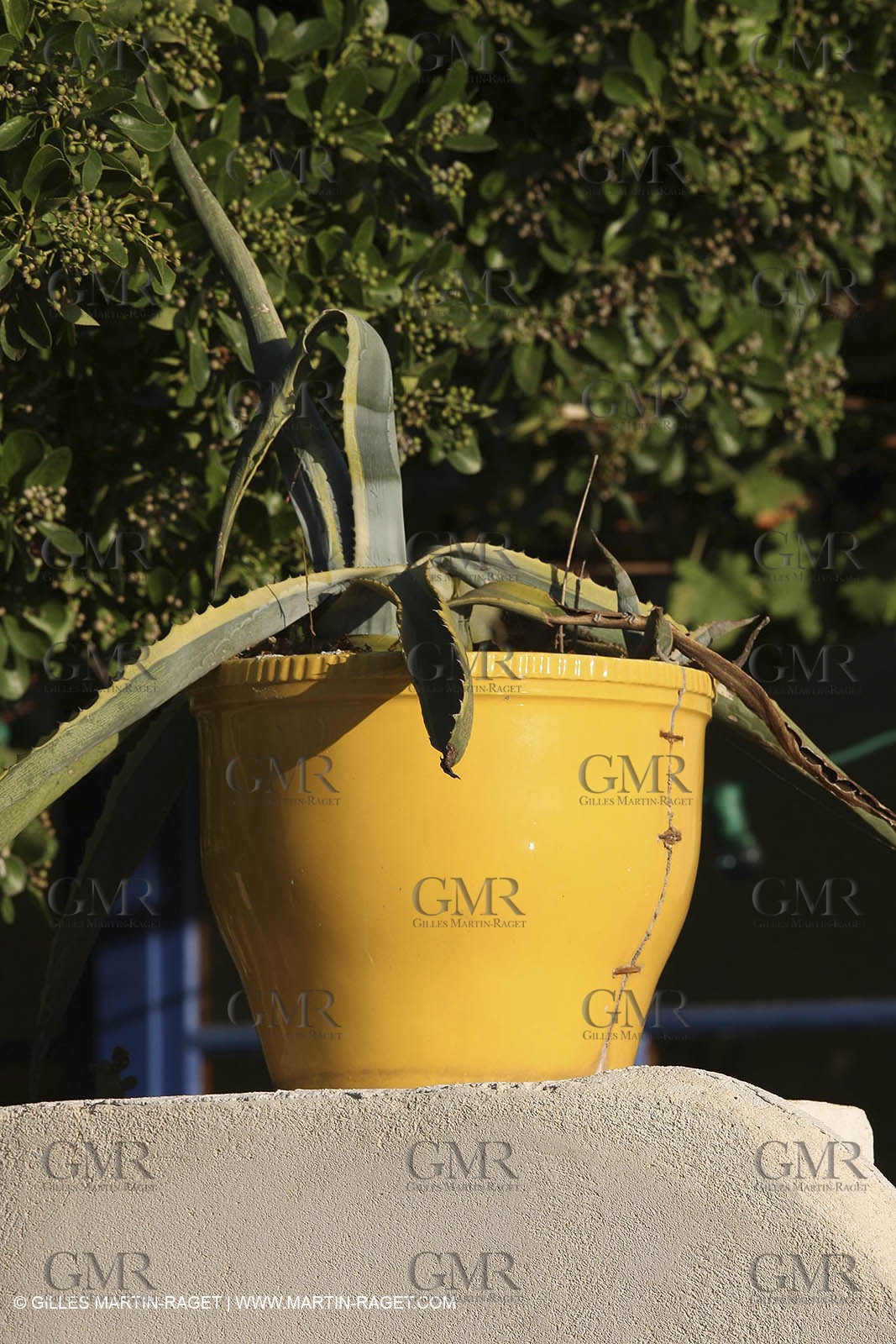 29 07 2009 - Marseille (FRA, 13) - Les Calanques