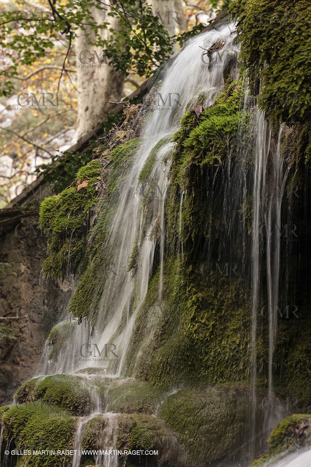 23 10 2012 - Gemenos (FRA) - Départemental Park of Saint Pons valley