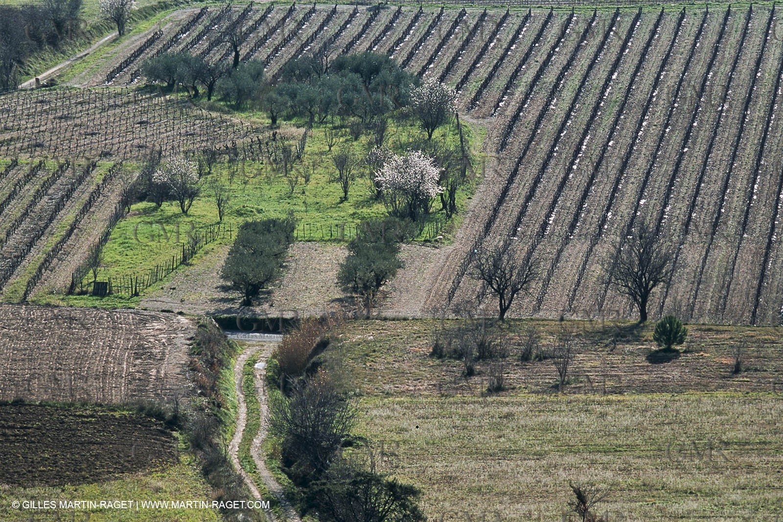 Paysages de Nîmes Métropole (FRA,30) - La Vaunage