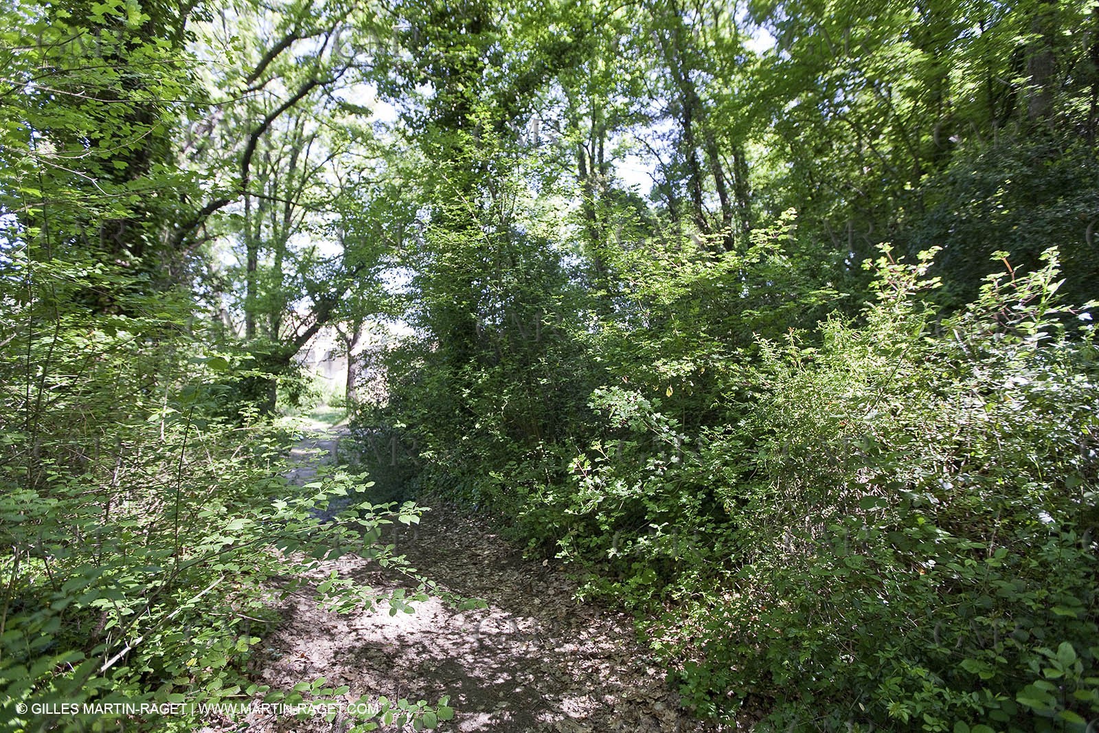 28 04 2009 - Ste Anastasie (FRA, 30) - Atlas Nîmes Métropole -  2009 campaign - Saint Nicolas bridge