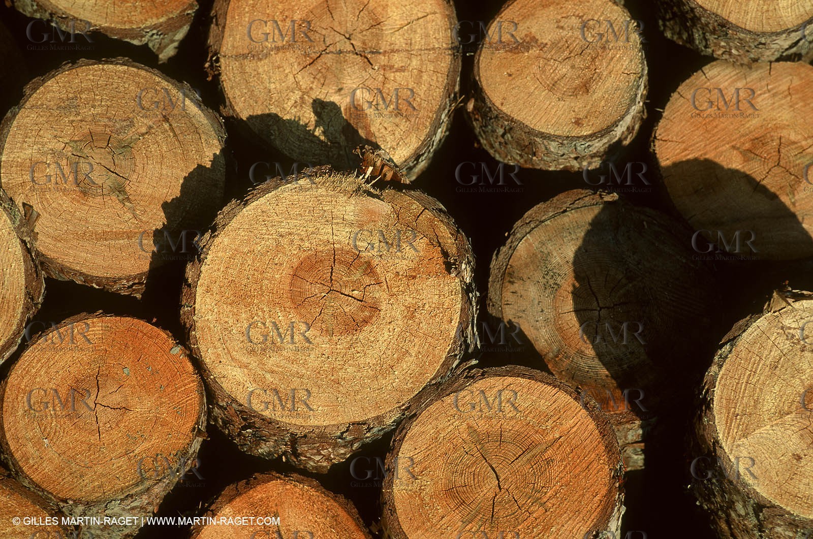 France - Southern Alps