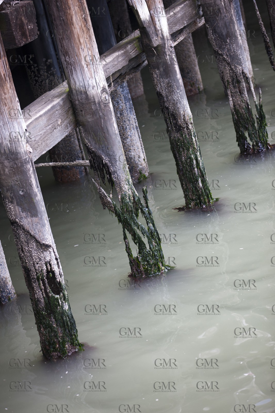 07 06 2011 - San Francisco (USA,CA) - 34th America's Cup - The Piers in their state of origin - Pier 27-29