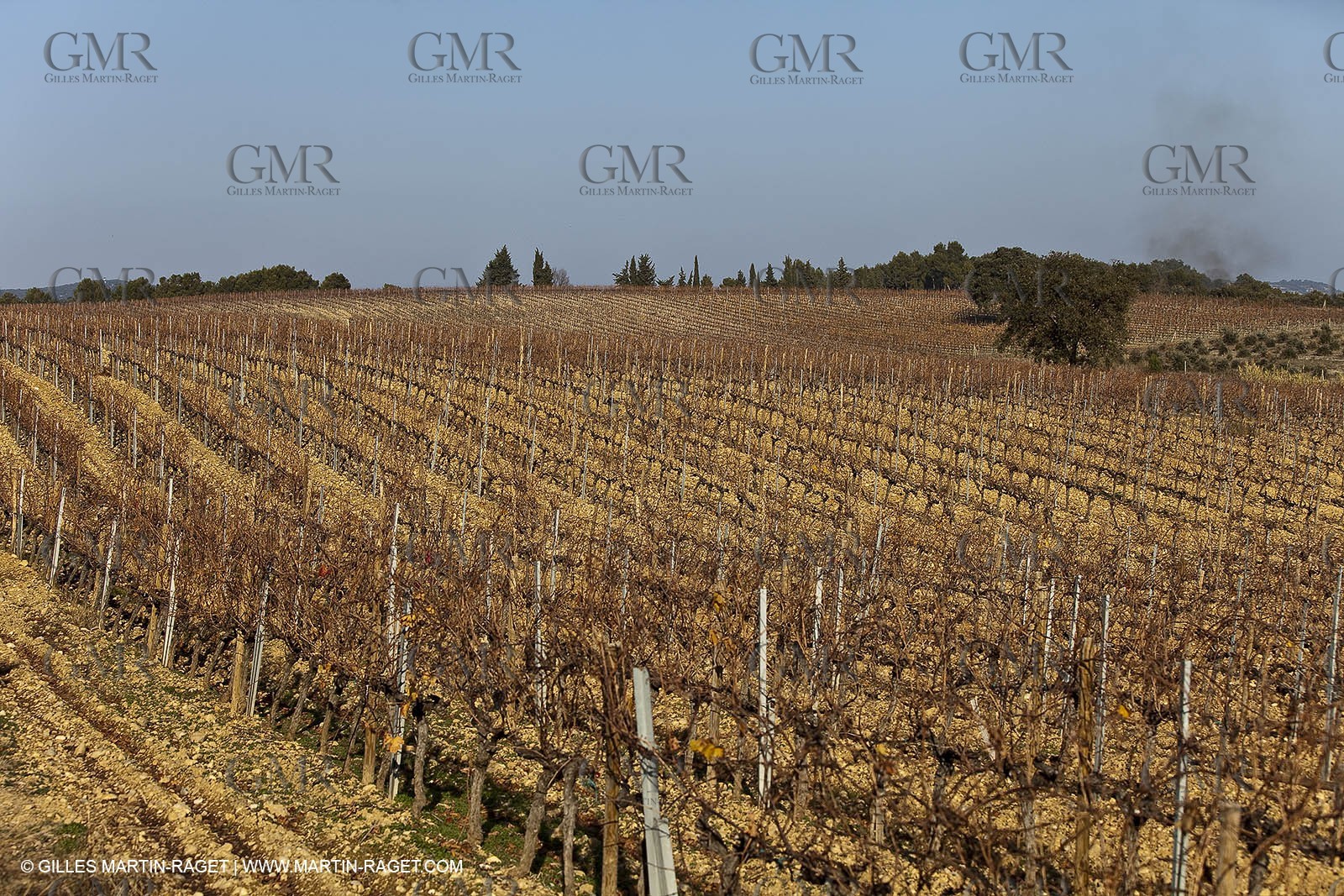 Saint Drézéry (FRA, 34), Domaine de Puech Haut