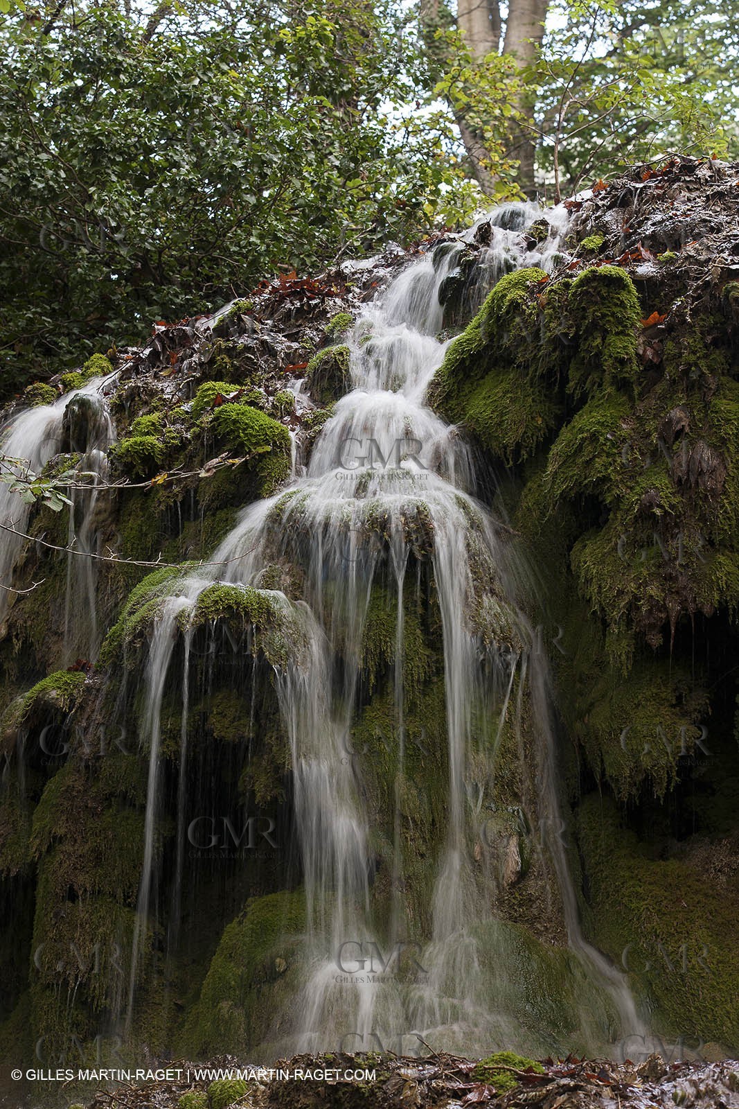 23 10 2012 - Gemenos (FRA) - Parc Départemental de la vallée de Saint Pons