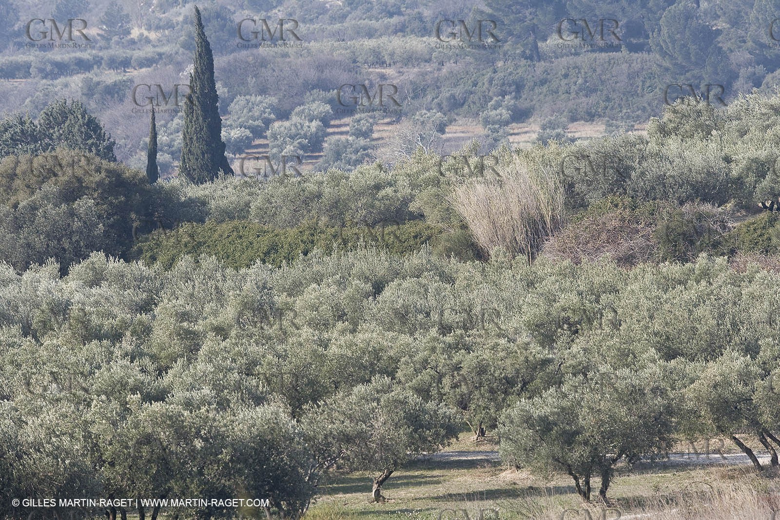 16 02 2008 - Les Baux de Provence (FRA, 13) - Alpilles hills landscapes