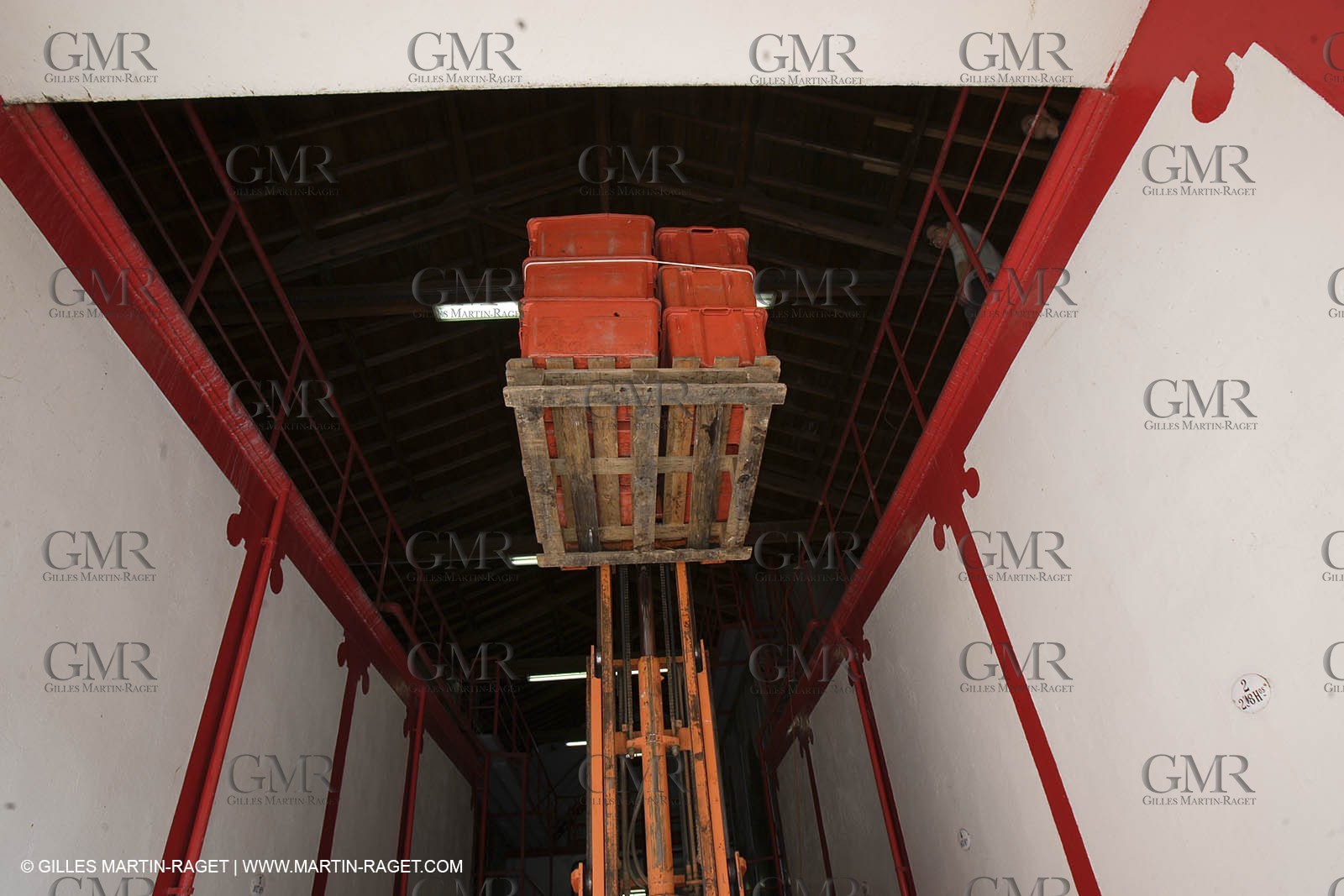 Harvest - D'or et de Gueule castle