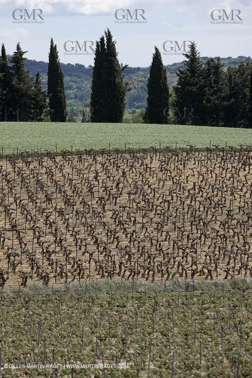 28 04 2009 - Saint Chaptes (FRA, 30) - Atlas Nîmes Métropole - campagne 2009
