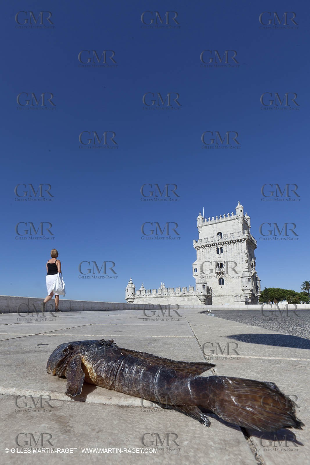 13 07 2011 - Cascais (POR) - 34th America's Cup - AC World Series - Cascais 2011 - Lisbon, Belem tower