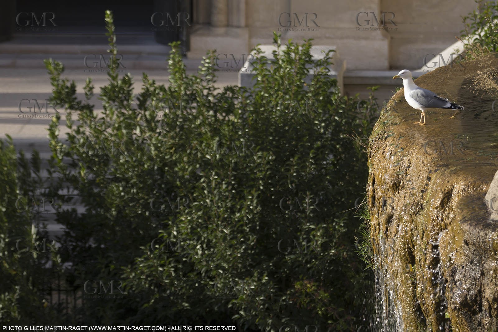 29 10 2015, Marseille (FRA,13), Palais Longchamp