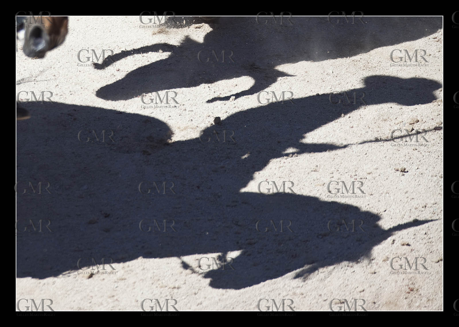 Product: in house made quality print on 8 ultrachome colors Epson ink Jet printer.Available sizes: . 30x40 cm. 50x70 cm. 80x120 cmAvailable papers: . Standard 250 gr glossy paper print, black streak, white margin, no signature. Top quality glossy 290 gr. paper, black streak, white margin, checked and signed by the author. Fine Art print (signed, numbered, stamped, registered) on demand. Other supports (Canvas, Acrylic, Metal) on demandPackaging: cylindric reinforced tubeShipping options: regular mail or Shipping companyClick on the basket icon to select your options and start the online ordering process