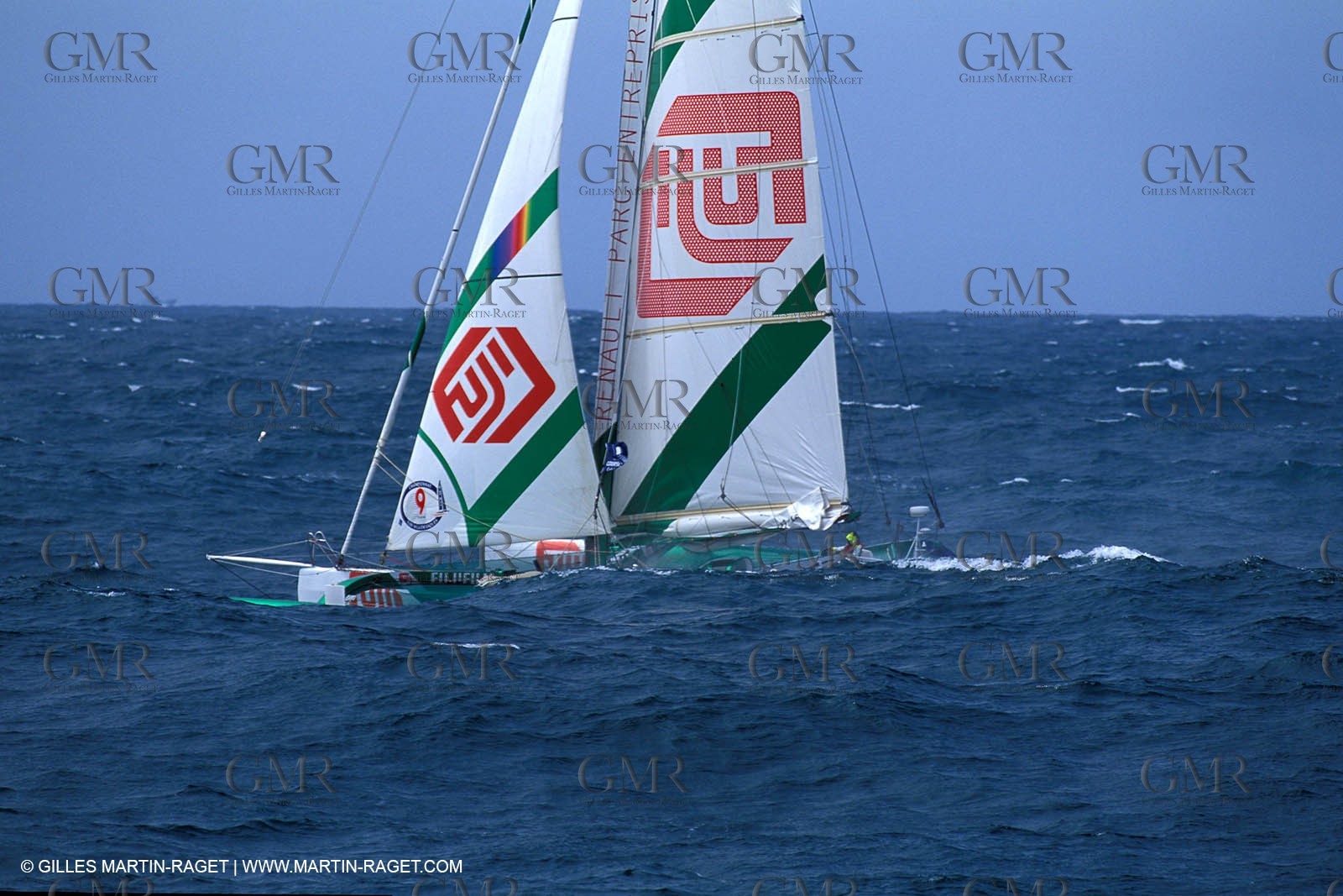 RhuMulti36.jpg