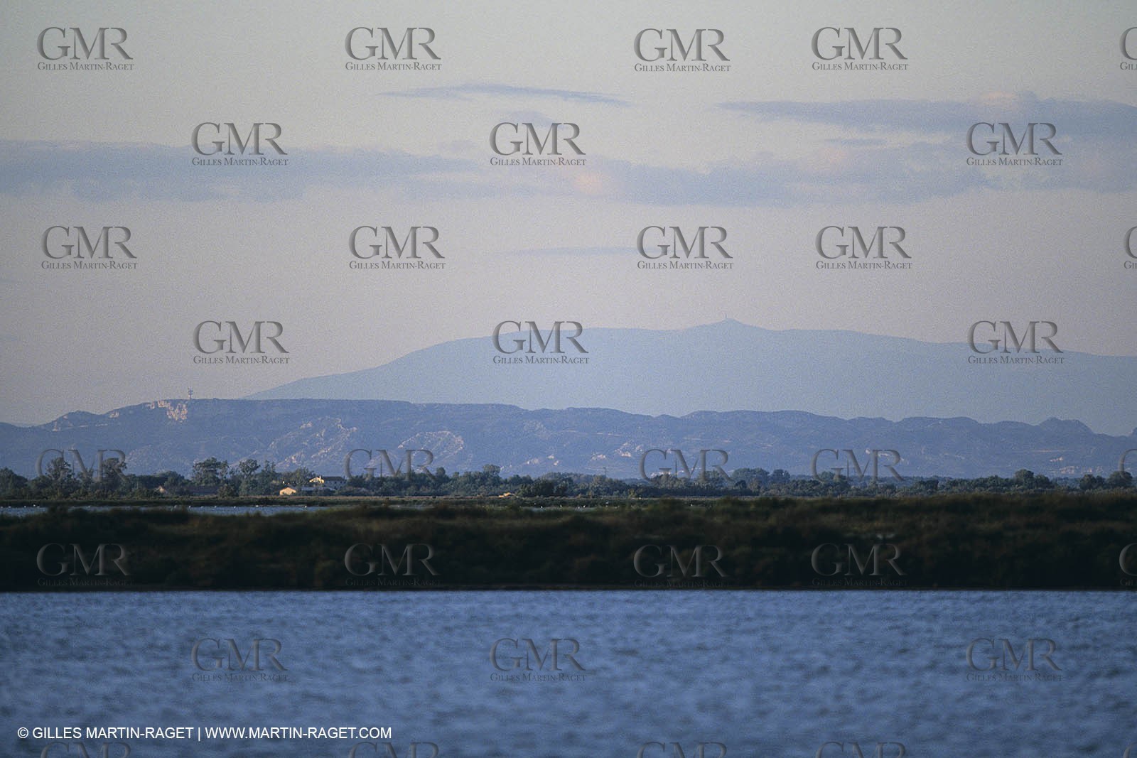 France, Provence, Camargue, Nature, plage, sable