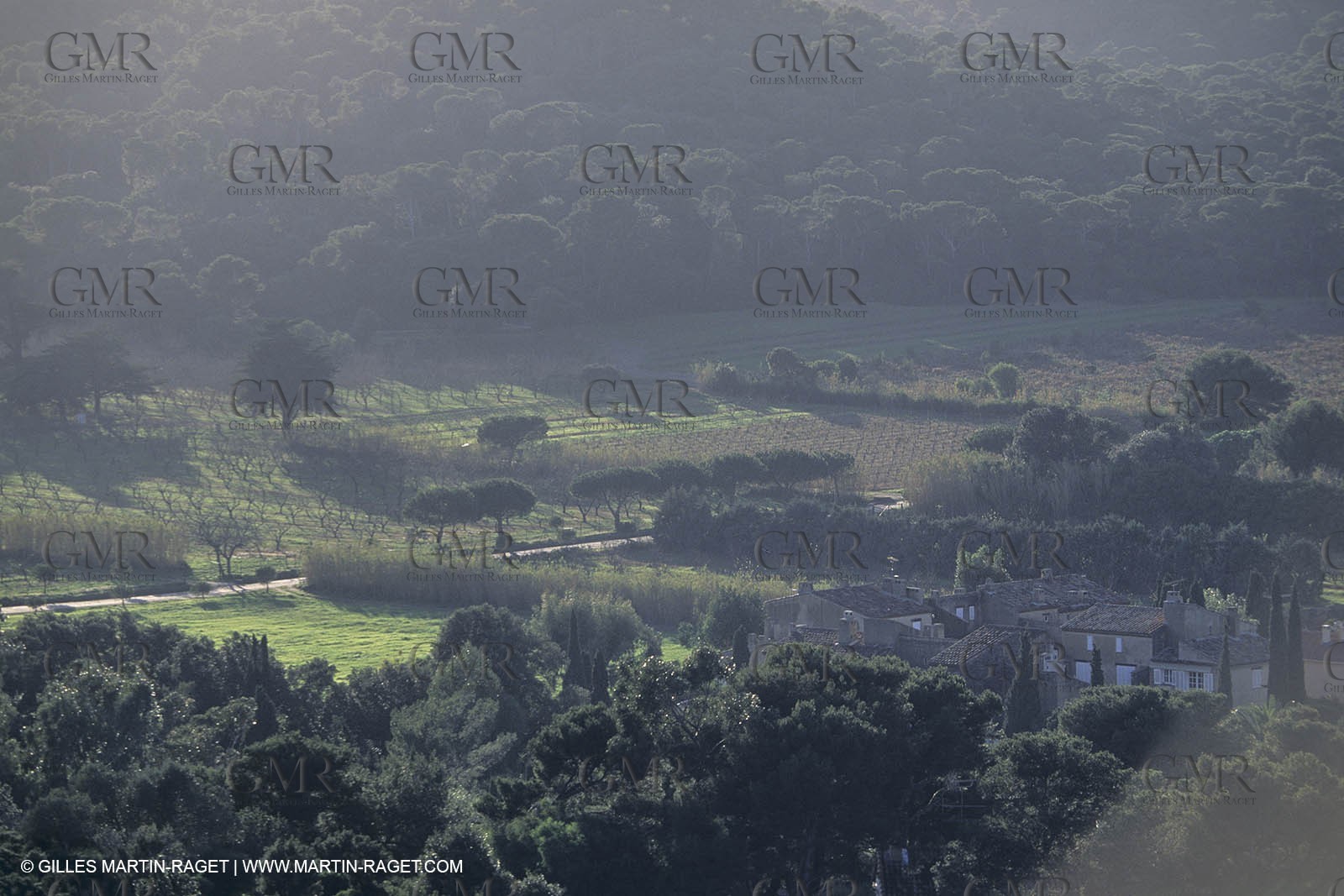 France, Provence, Iles d'Hyères, Porquerolles