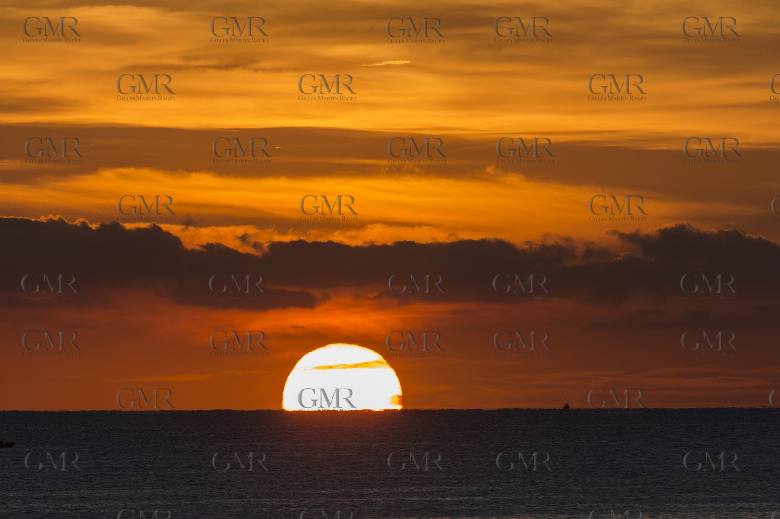 11 10 2014, Alicante (ESP), Volvo Ocean Race 2014-15, Team Alvimedica