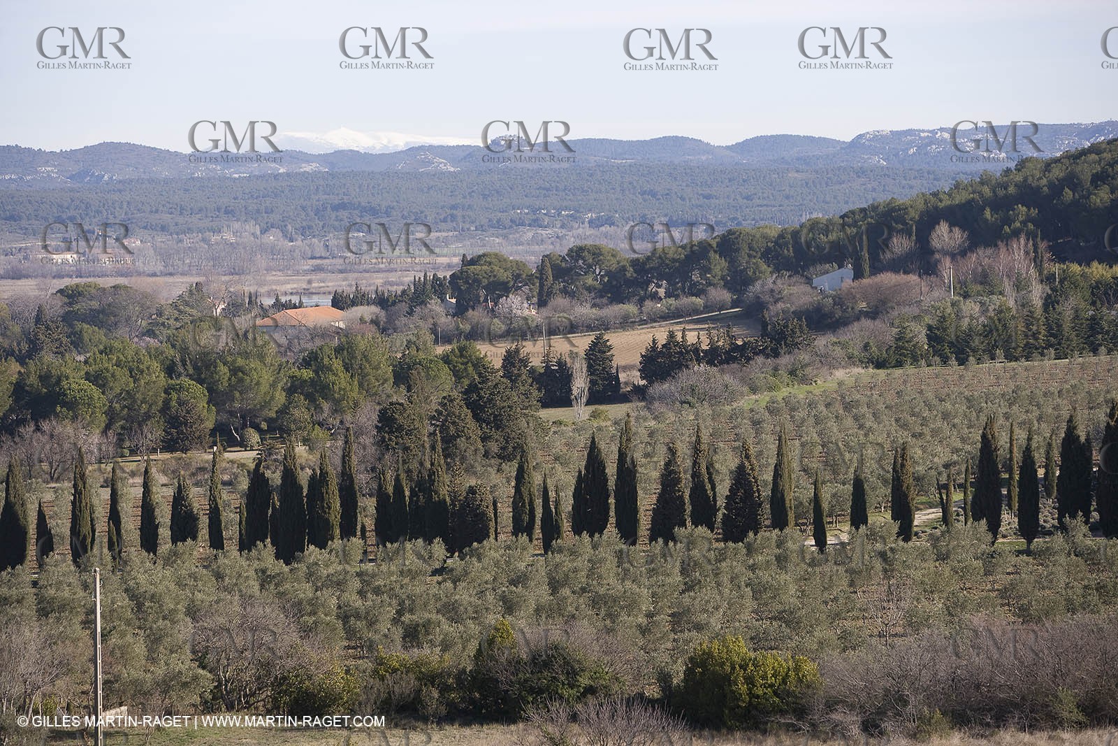 05 02 2008 - Arles (FRA, 13) - Arles surroundings landscapes