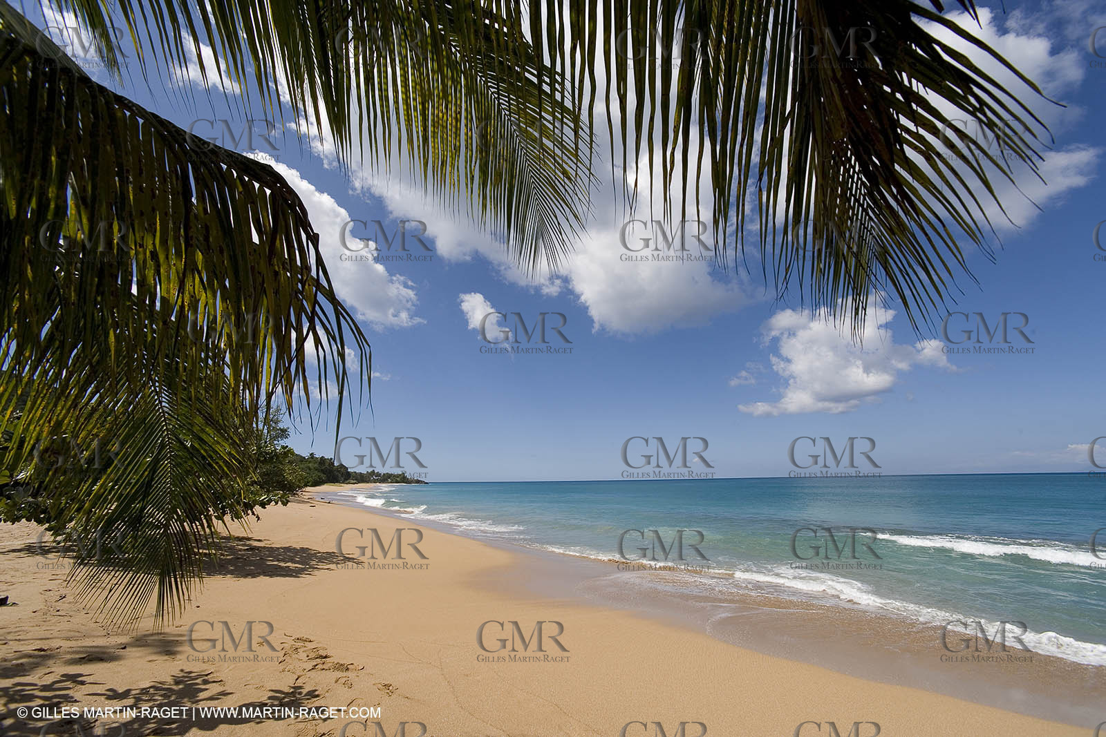 06 11 2006 - Pointe à Pitre Guadelupe (FRA) - Route du Rhum 2006 arrival Thelier Claude (Region Guadeloupe)