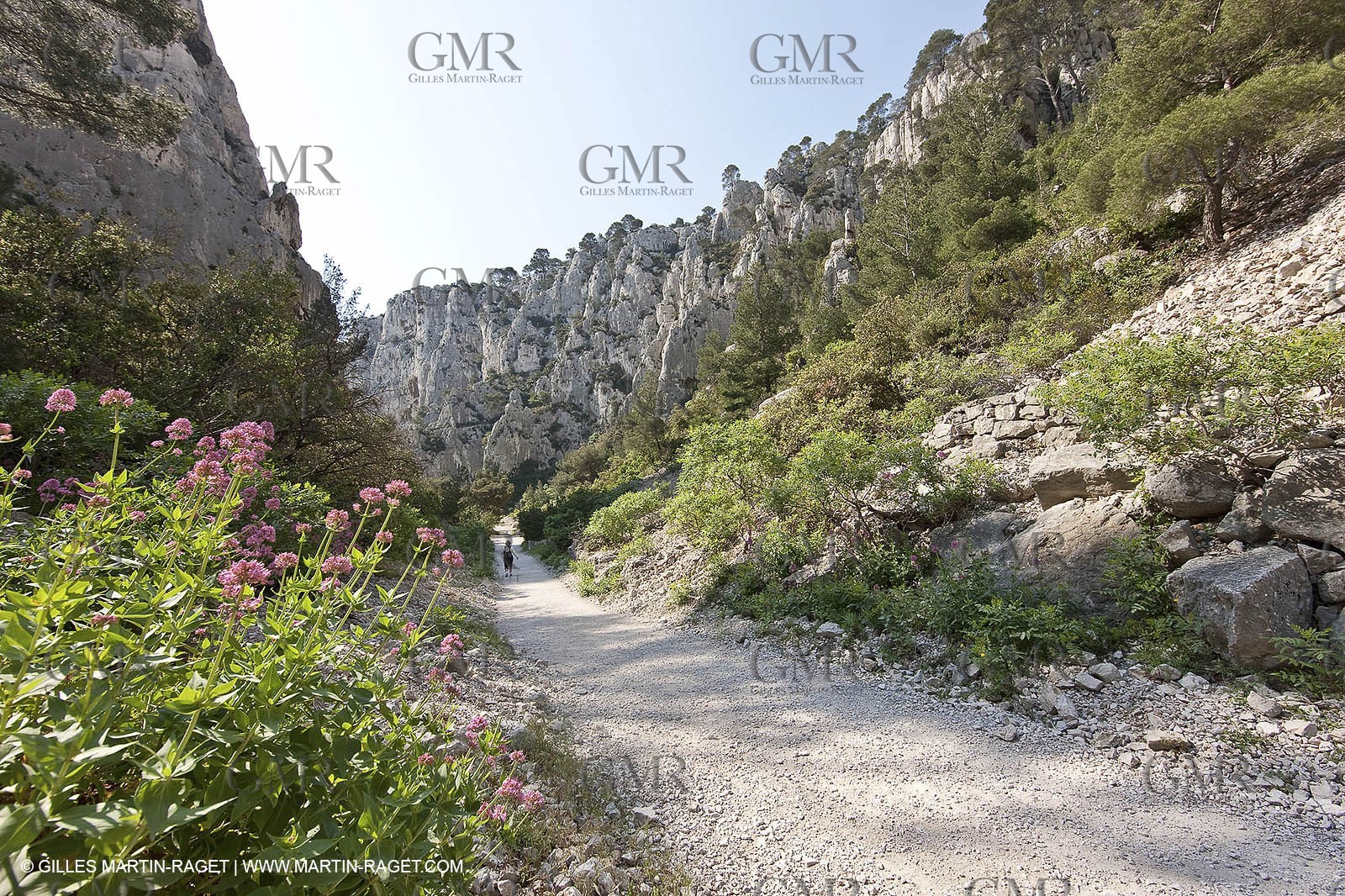 03 05 2009 - Marseille (FRA, 13) - Les Calanques - En Vau - Vallon d'en Vau