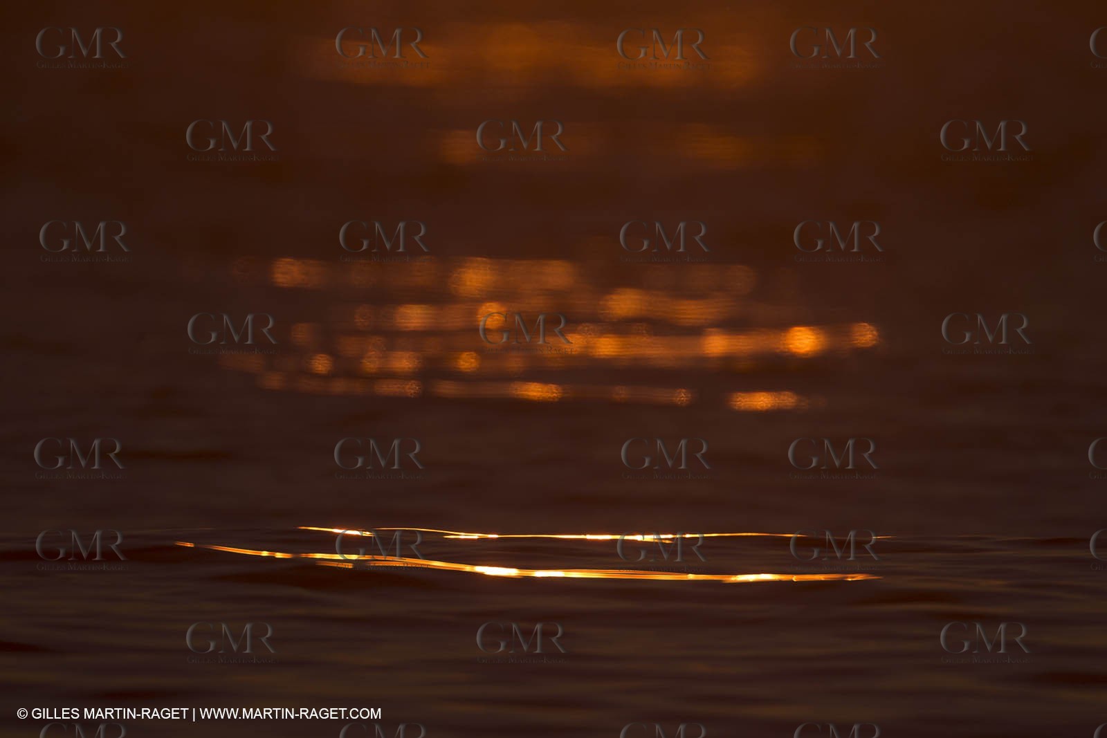 21 12 2014, Barcelona (ESP), Barcelona World Race 2014-15,