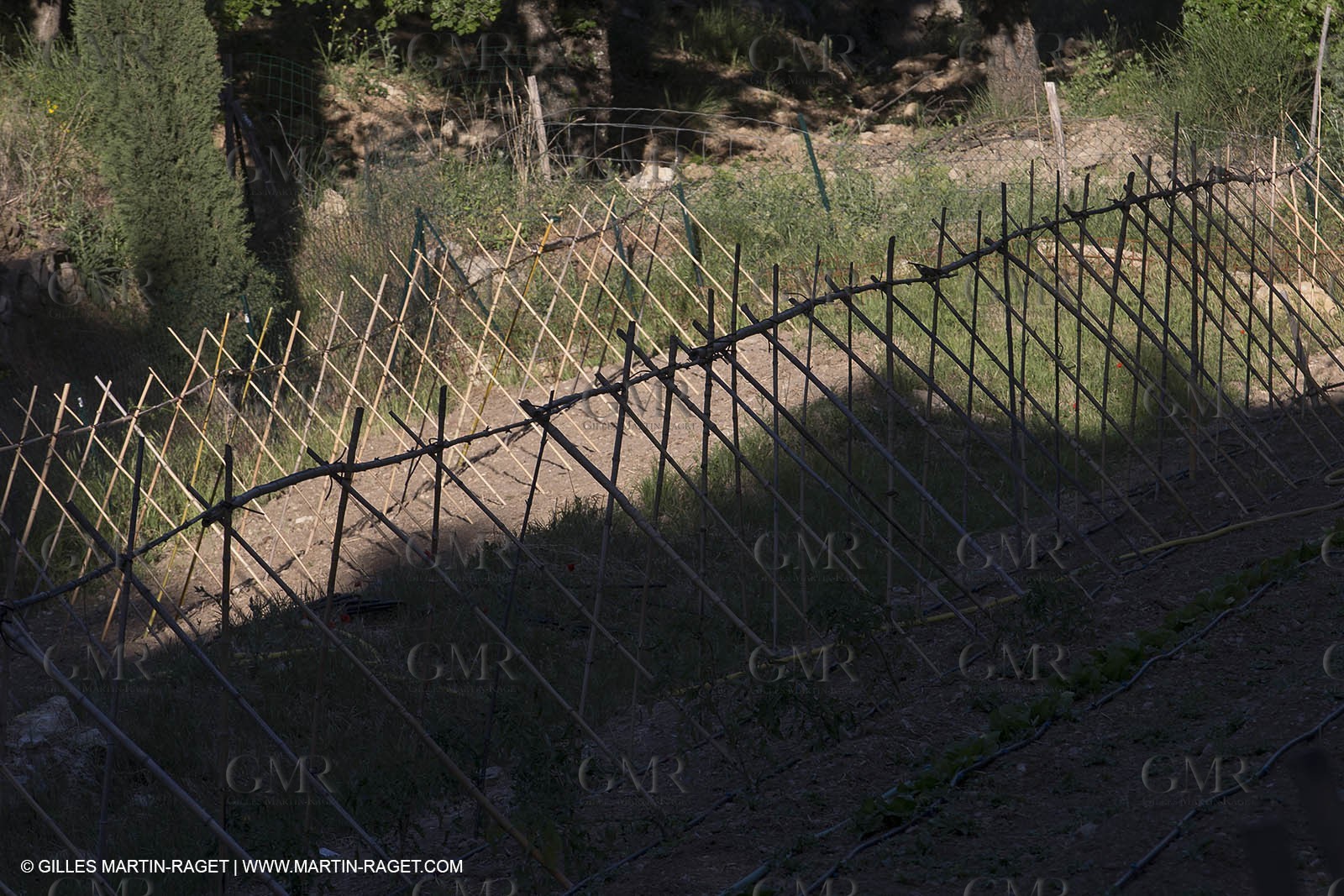 Domaine de la Baume - Tourtour (FRA,83) - 15 05 2014