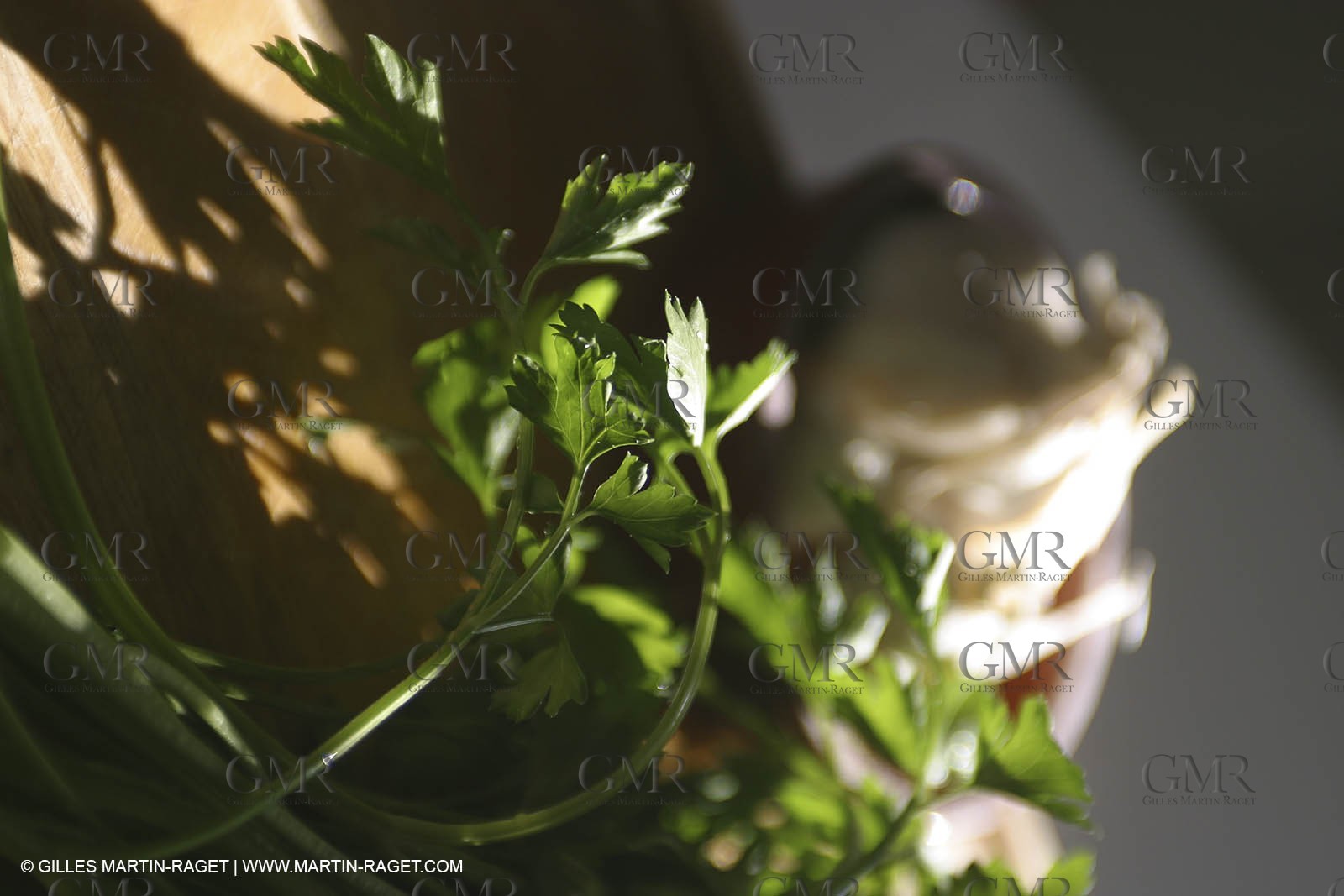 Cooking herbes from Provence - Garlic and Parsley