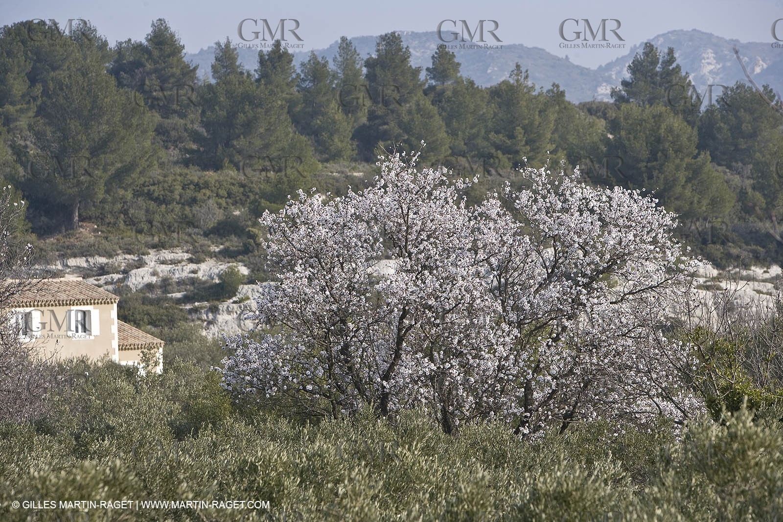16 02 2008 - Les Baux de Provence (FRA, 13) - Alpilles hills landscapes