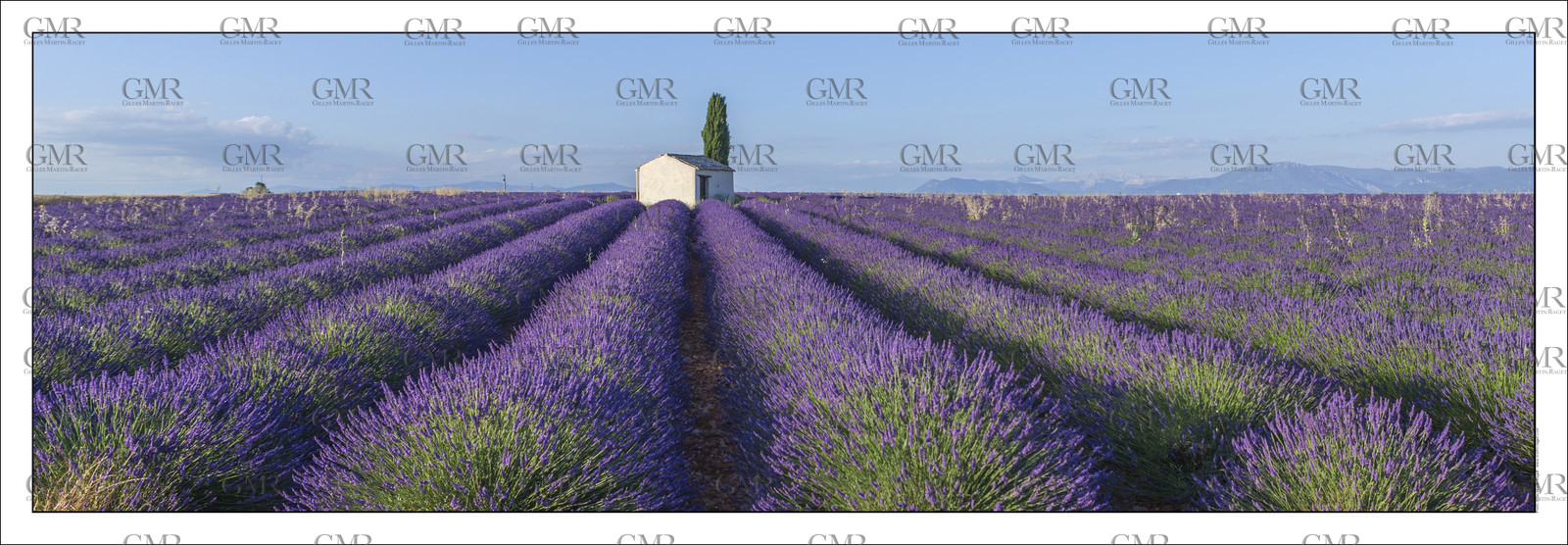 Product: in house made quality print on 8 ultrachome colors Epson ink Jet printer.Available sizes: . 20x 60 cm. 33 x 95 cm. 52 x 150 cmAvailable papers: . Standard 250 gr glossy paper print, black streak, white margin, no signature. Top quality glossy 290 gr. paper, black streak, white margin, checked and signed by the author. Fine Art print (signed, numbered, stamped, registered) on demand. Other supports (Canvas, Acrylic, Metal) on demandPackaging: cylindric reinforced tubeShipping options: regular mail or Shipping companyClick on the basket icon to select your options and start the online ordering process