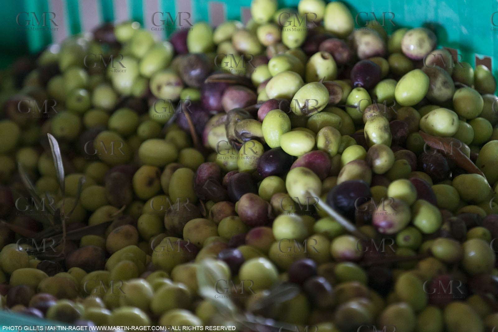 14 11 2015, Saint-Etienne du Grès (FRA,13), traditional making of olive oil at La Croix mill
