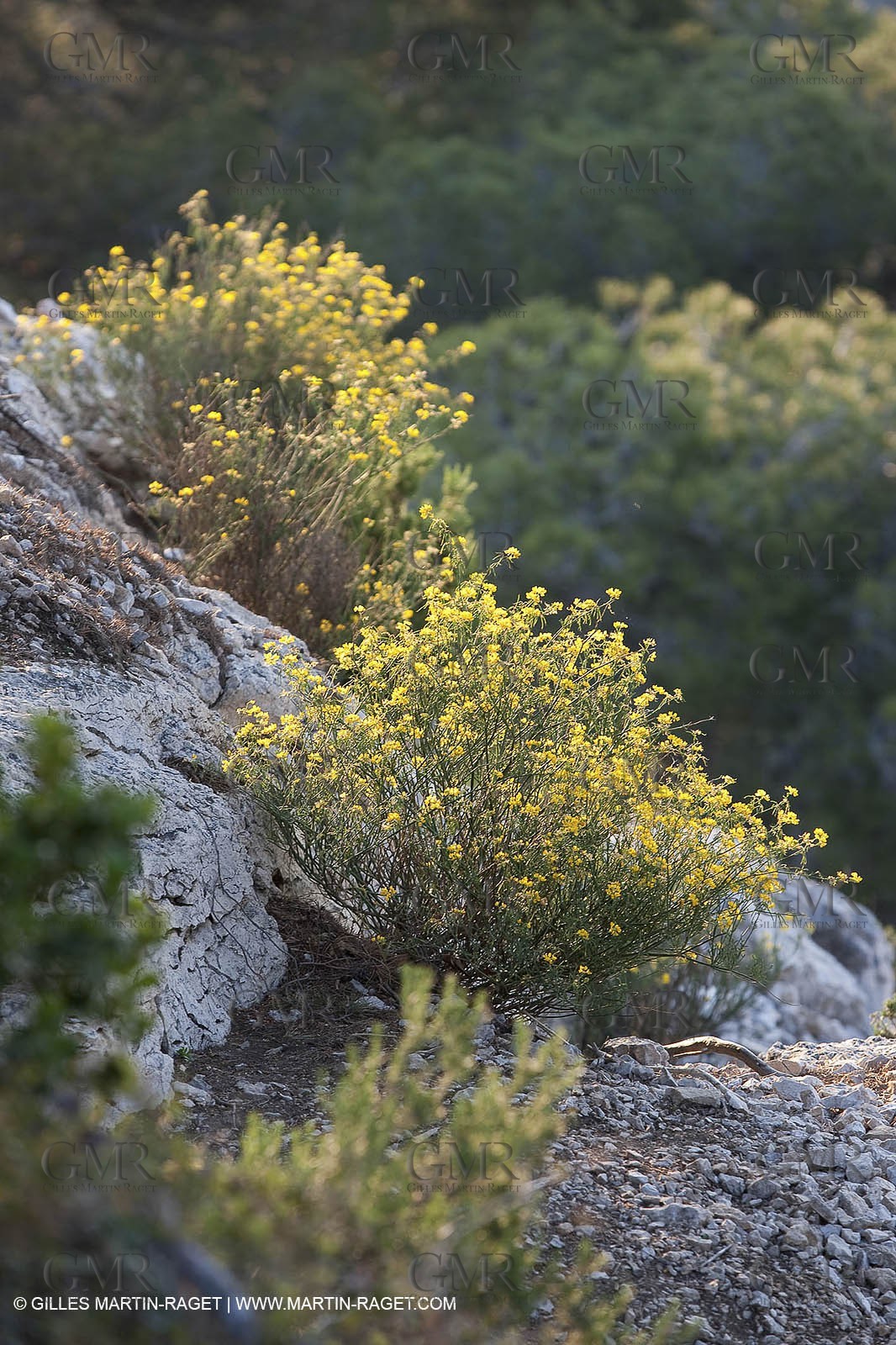 03 05 2009 - Marseille (FRA, 13) - Les Calanques - Port Pin