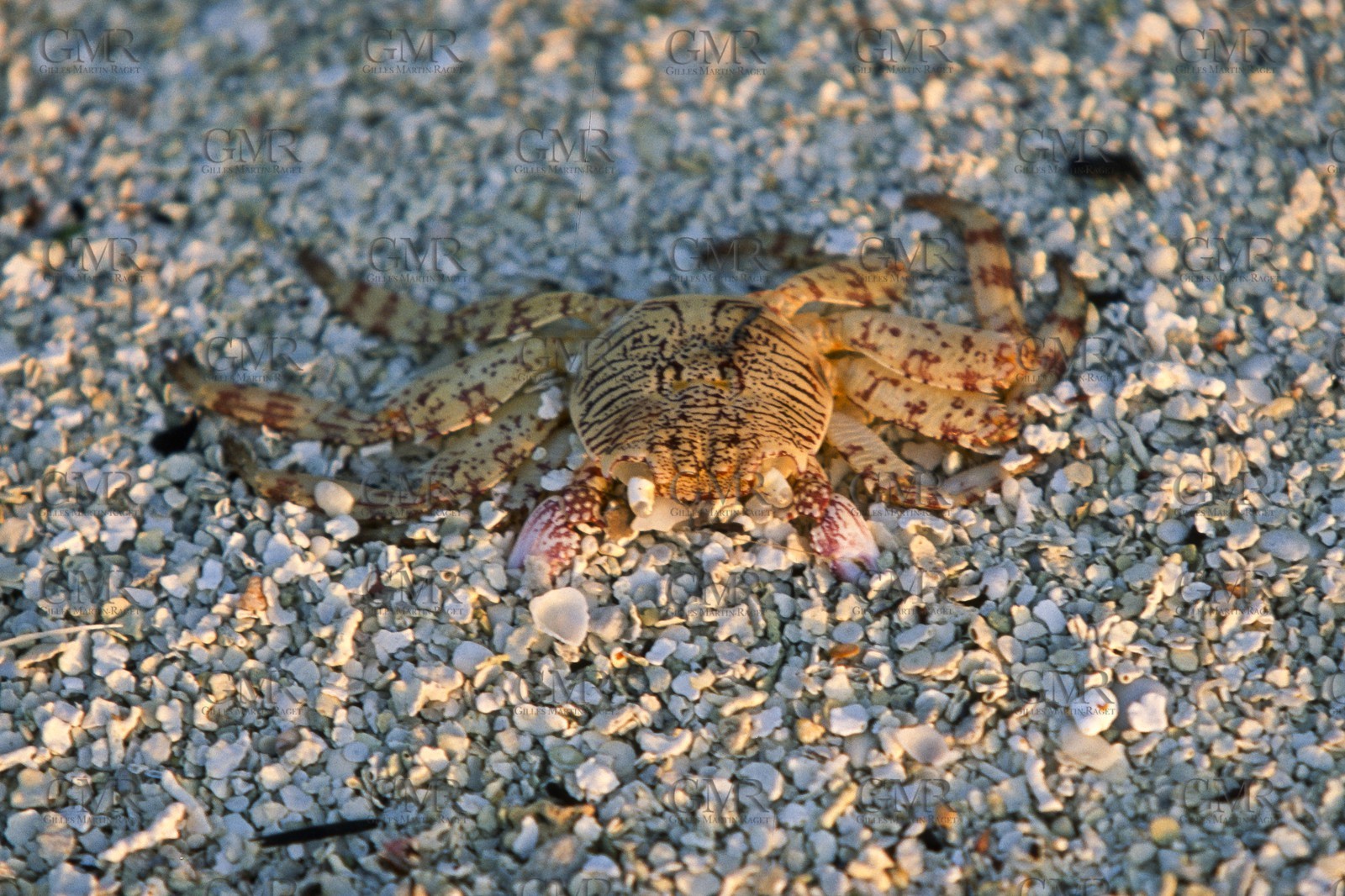 Destinations - Océan Indien - Maldives