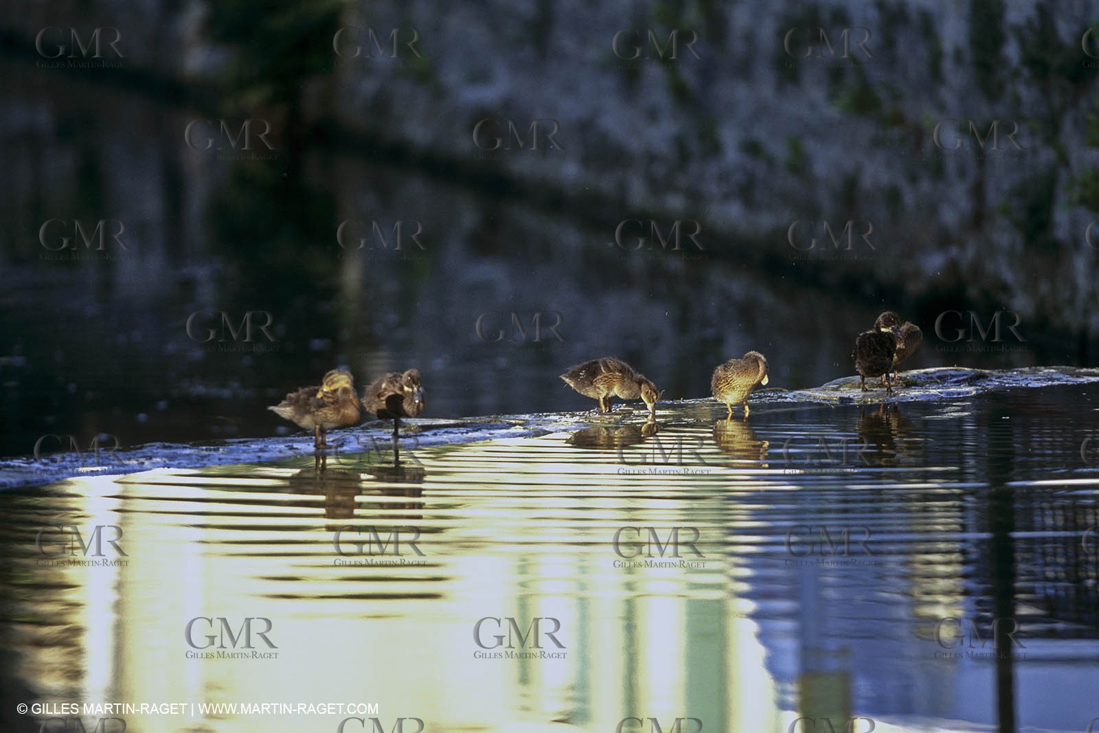 L'isle sur Sorgues