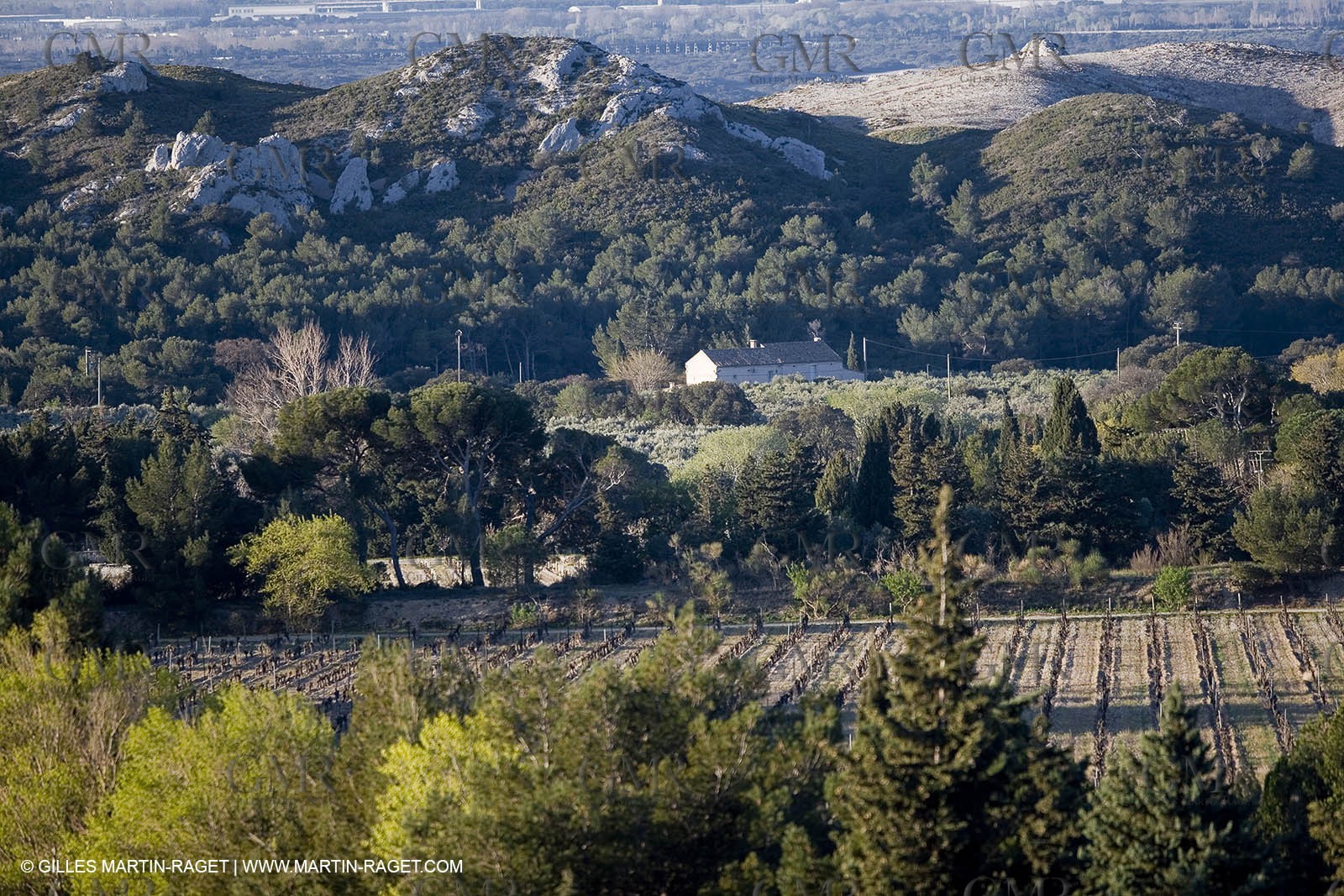 27 03 2008 - Les Baux de Provence (FRA,13) - Alpilles hills landscapes