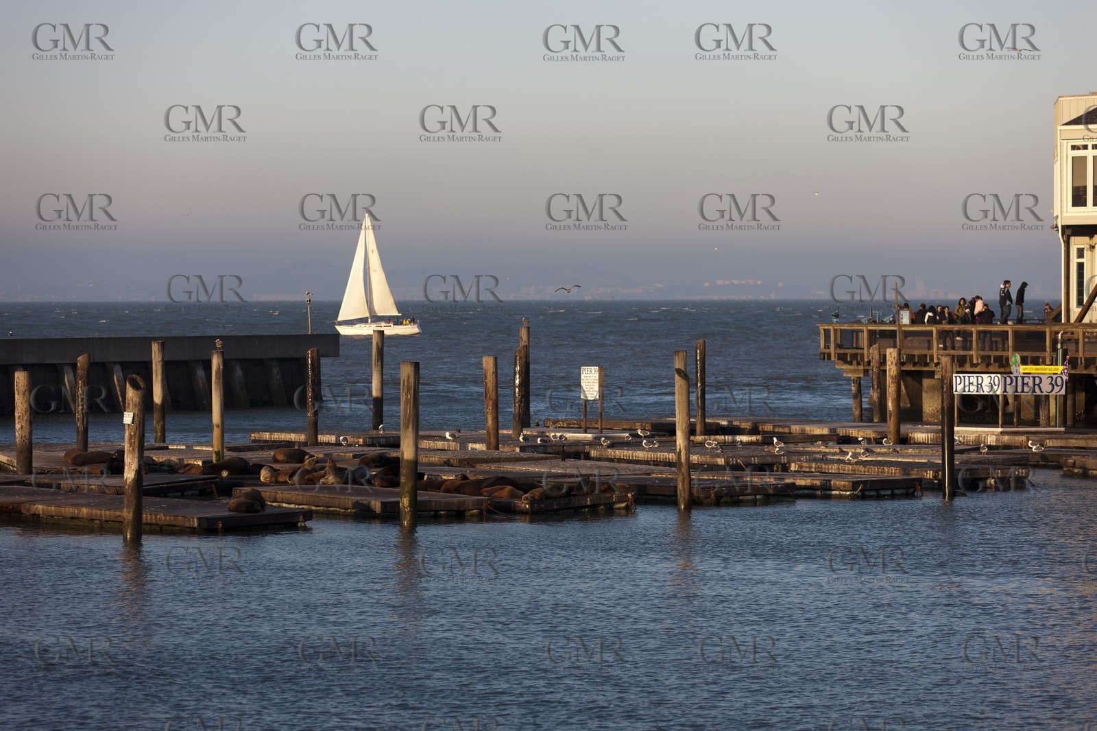07 01 2011 - San Francisco (USA,CA) - The piers - Pier 39