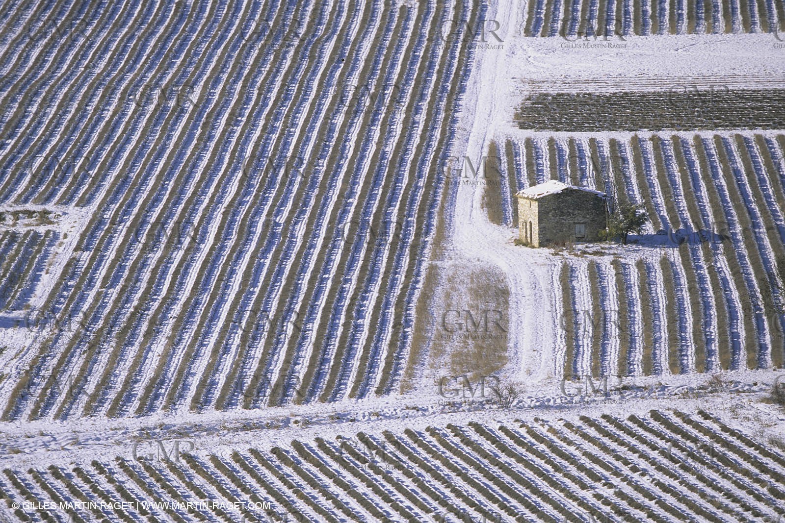 France, Provence, Neige en hiver   Snow in Provence