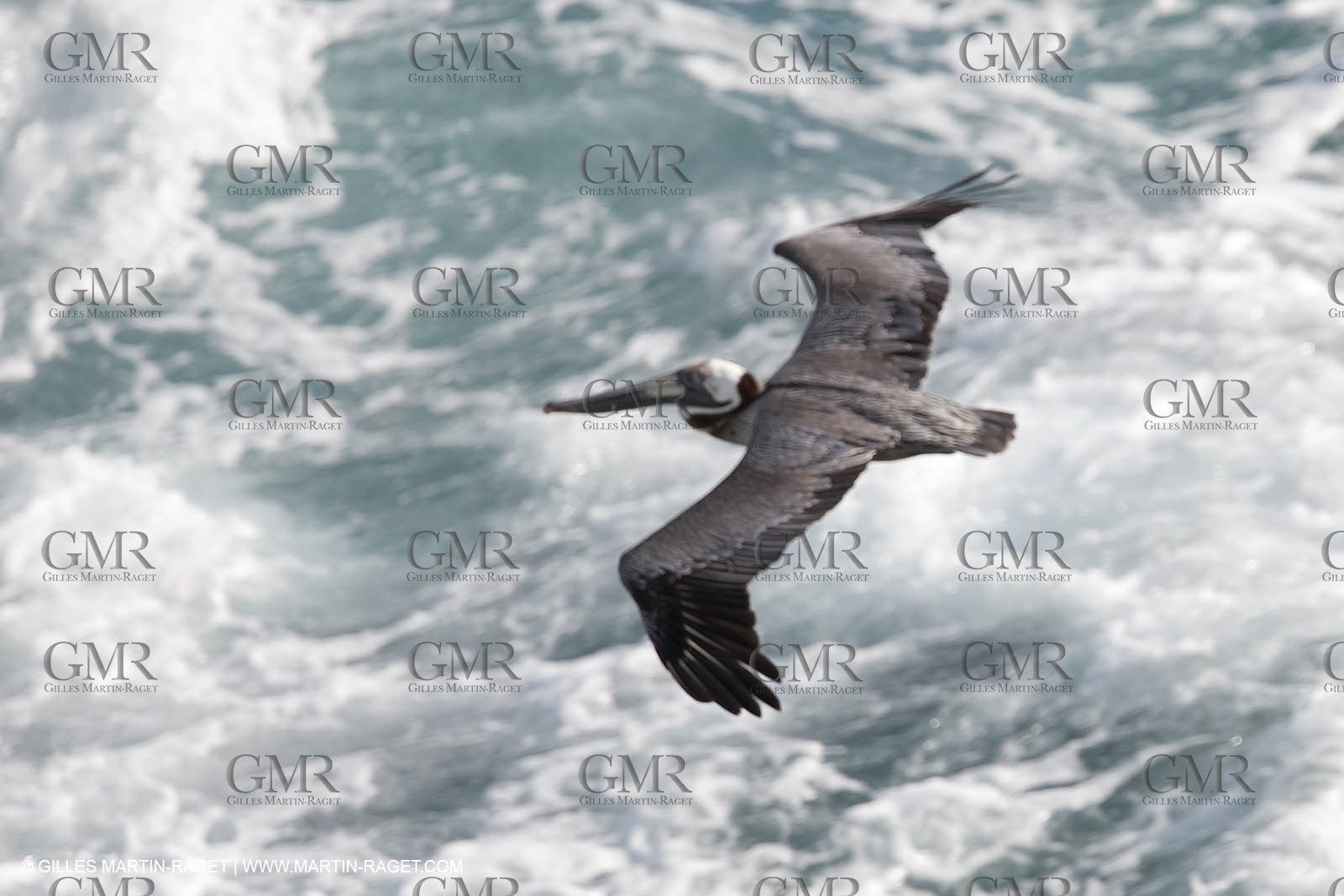 Sailing, Super Yachts, Swift (Ex-Club Med II)