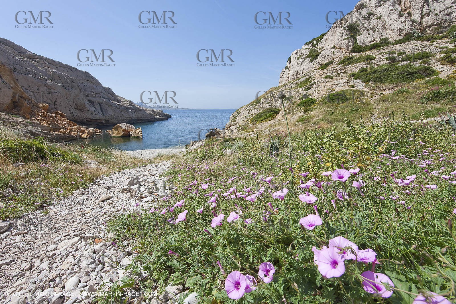 20 05 2009 - Marseille (FRA, 13) - Les Calanques - Calanque du Podestat
