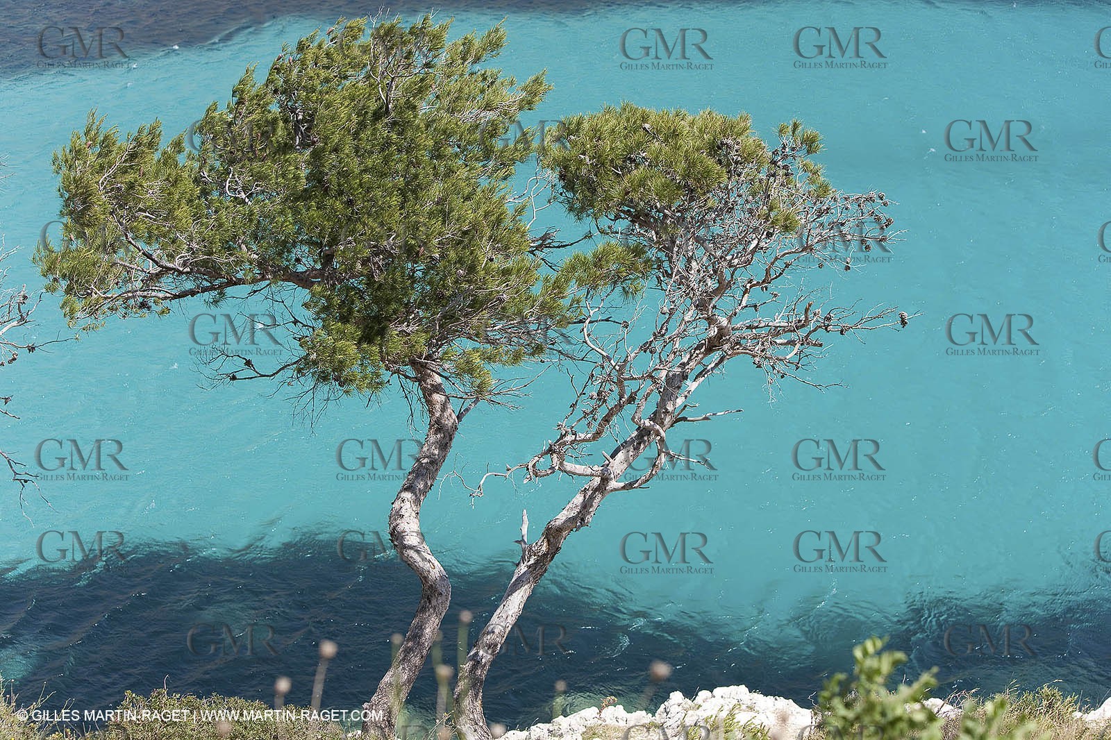 27 05 2009 - Marseille (FRA, 13) - Les Calanques - Sormiou