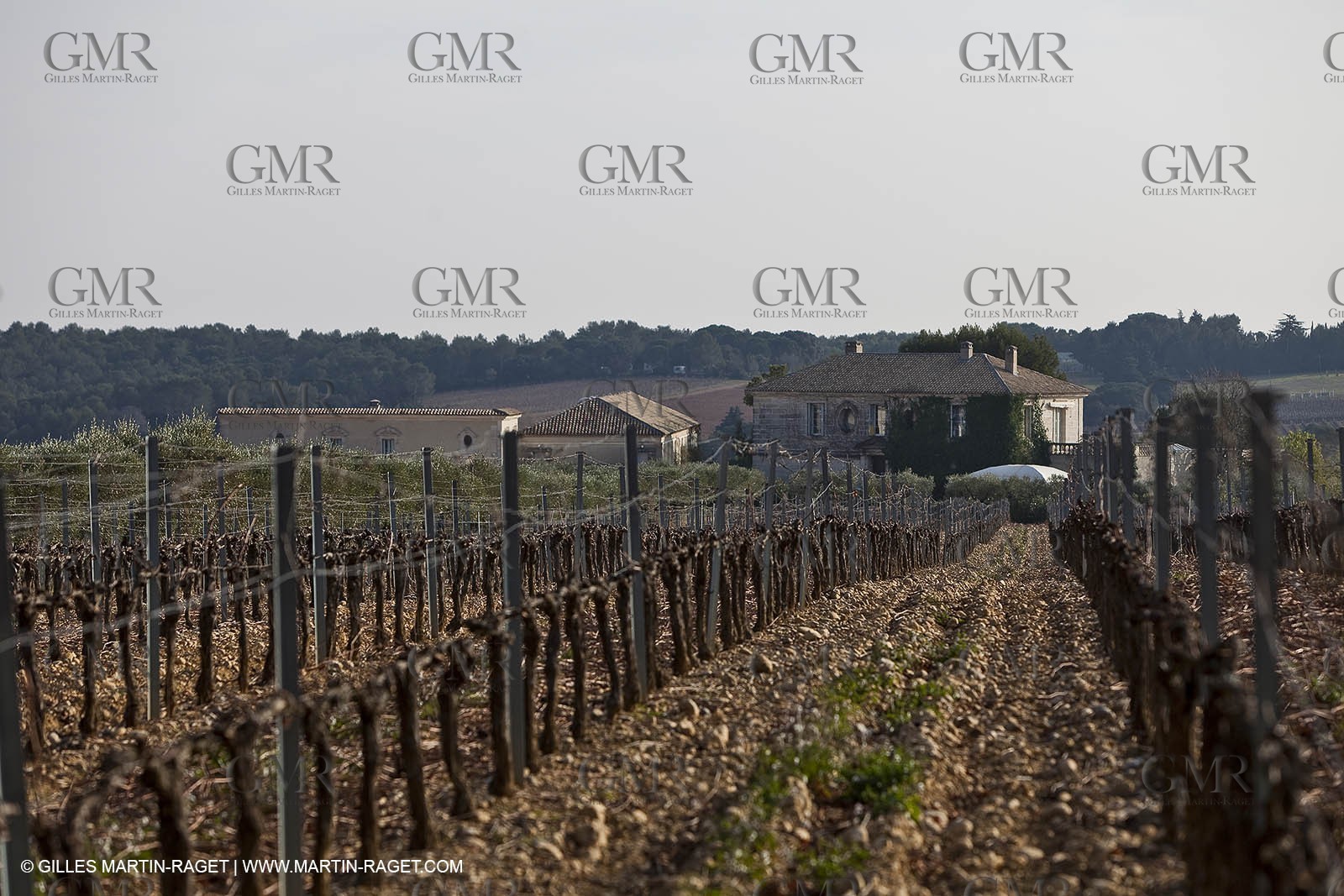 Saint Drézéry (FRA, 34), Domaine de Puech Haut