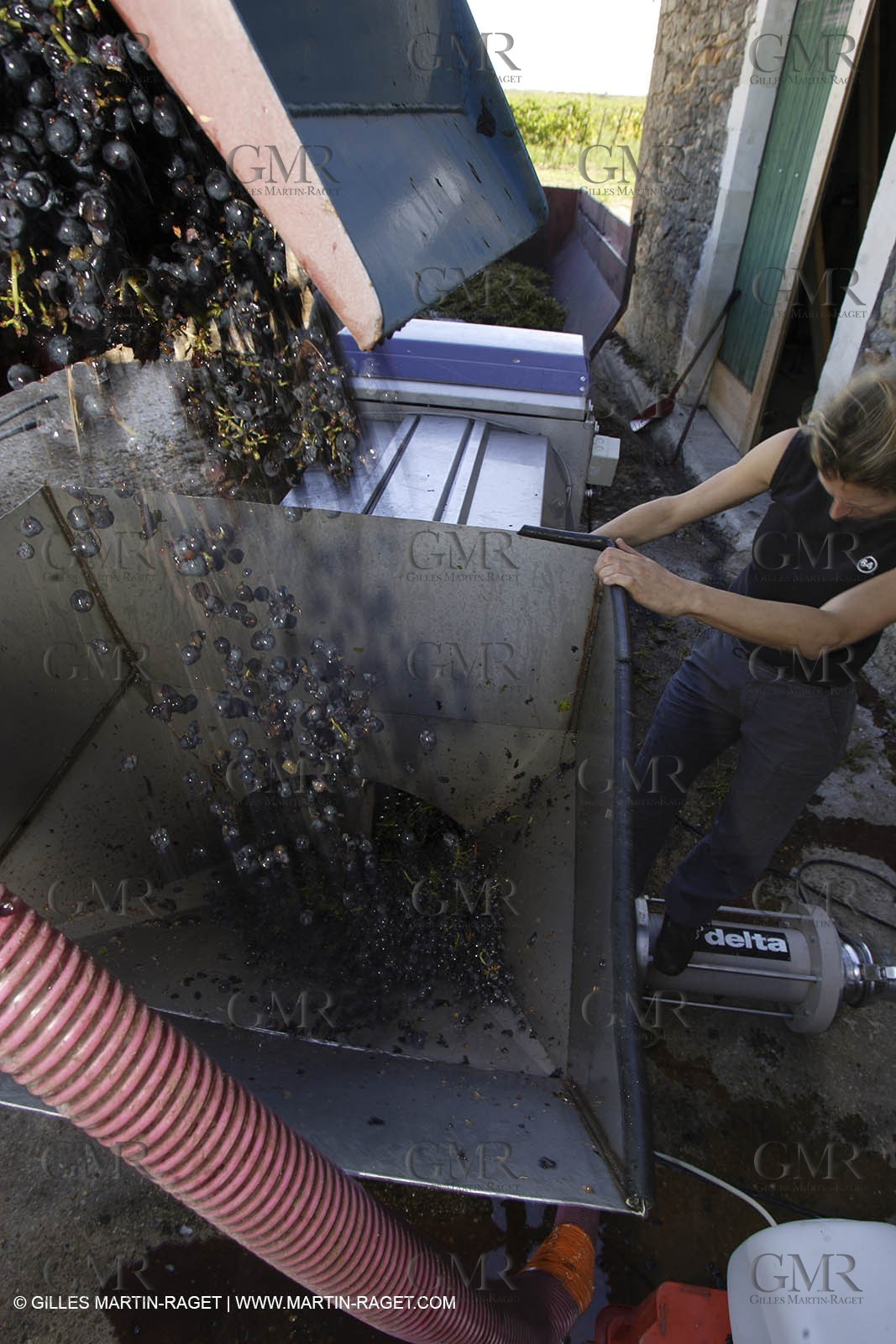 Harvest - D'or et de Gueule castle