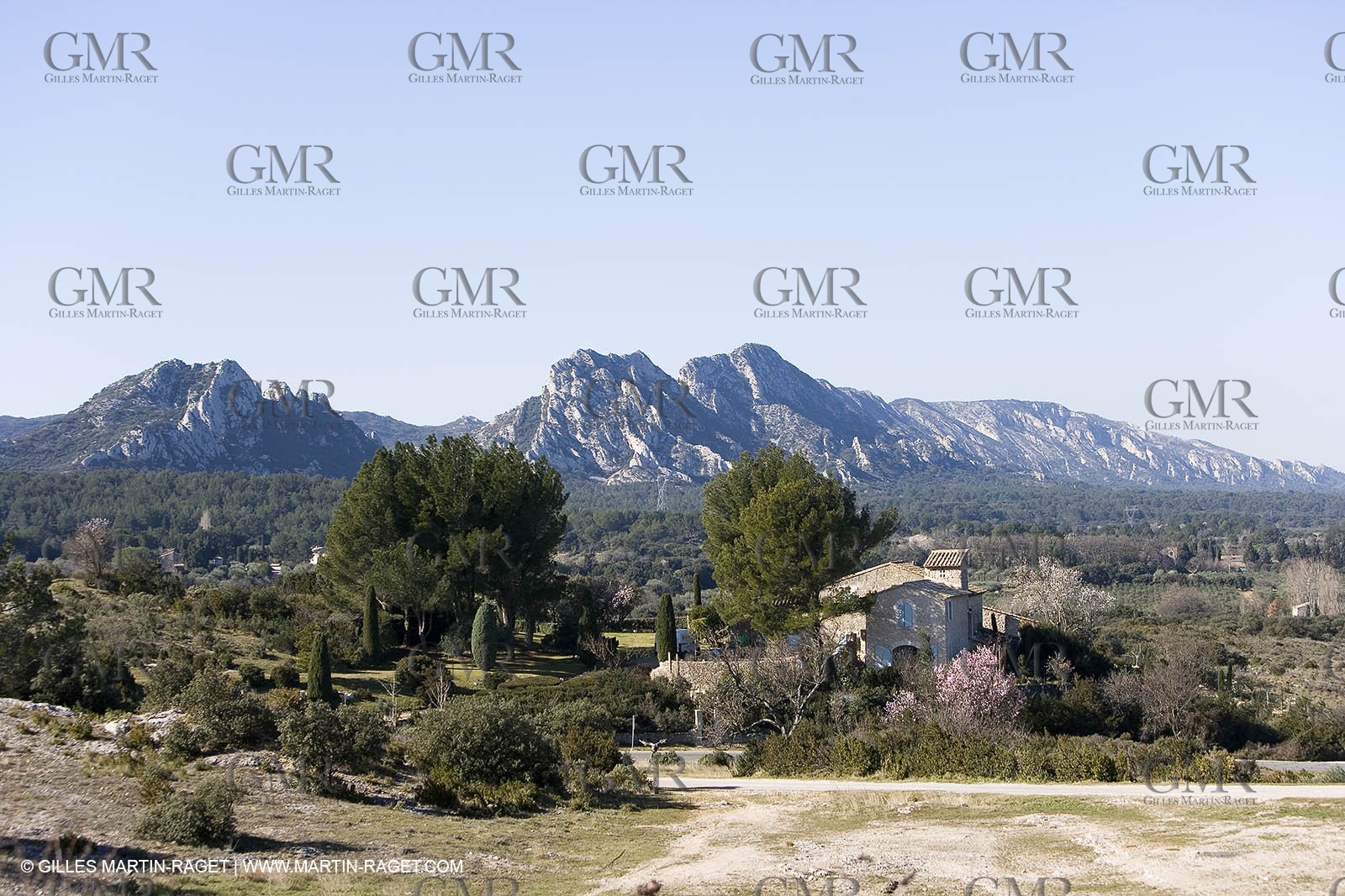 15 02 2007 - Provence - Les Alpilles