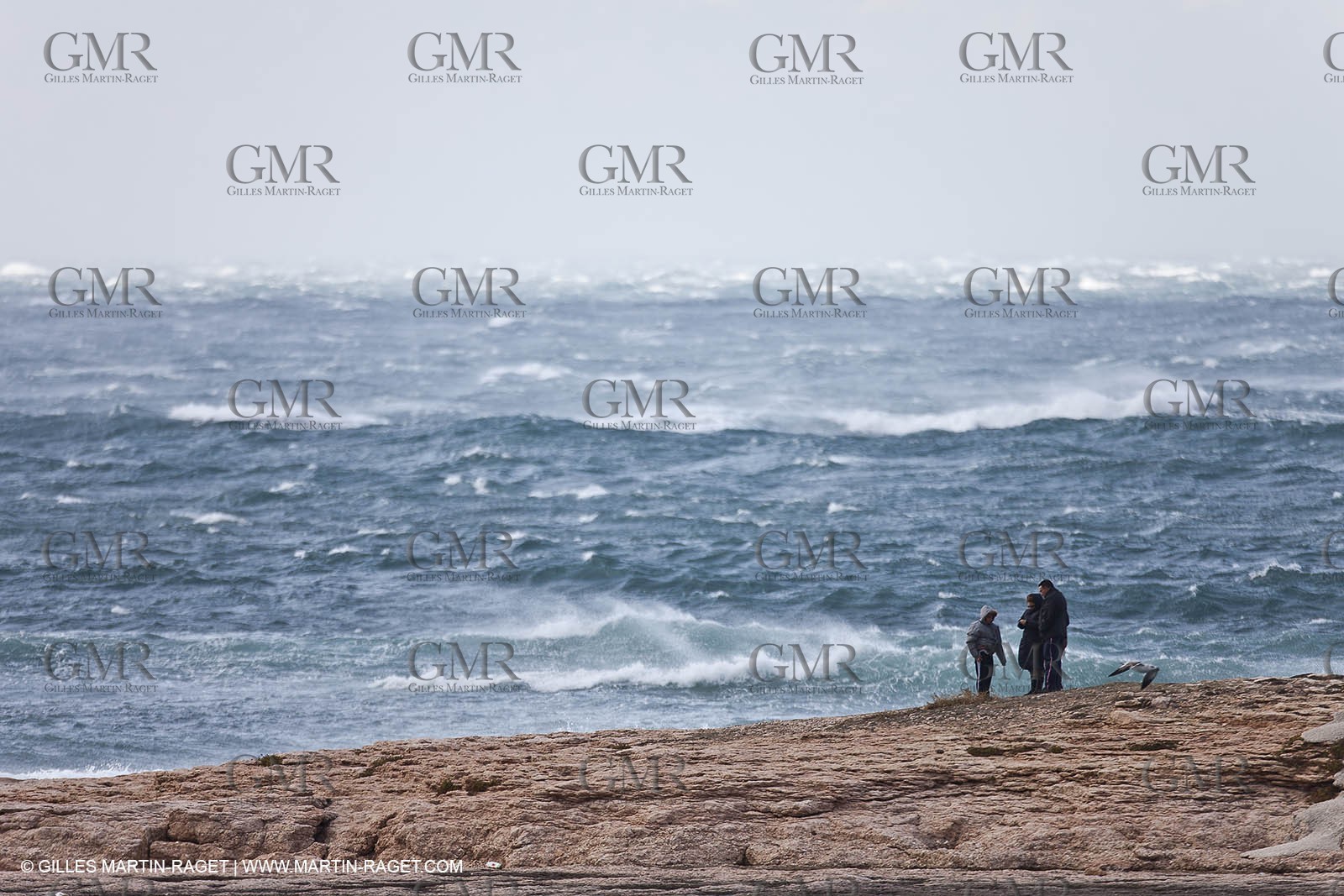 25 10 2010 - Marseille (FRA,13) - Ships at the mooring due to a strike of the harbour staff