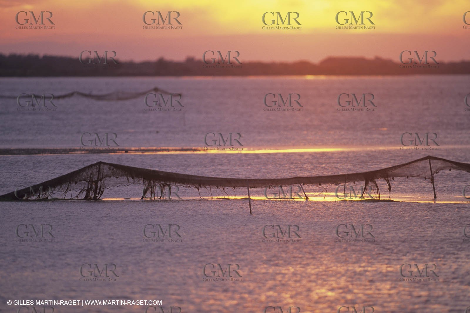 France, Provence, Camargue, Nature, Pêche, Fishing