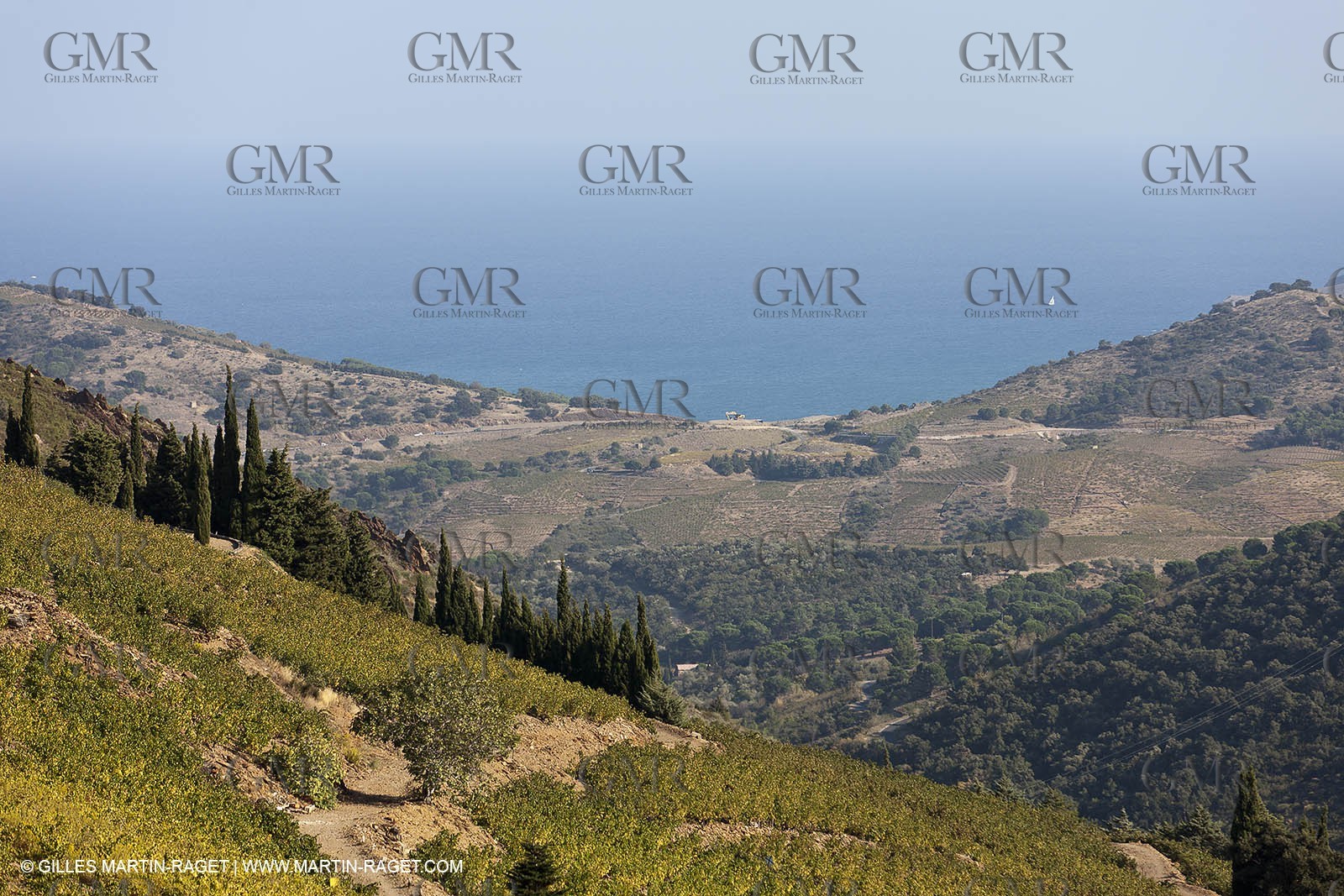 17 10 2011 - Vermeille Coast (FRA, 66) - Corbières Vineyards