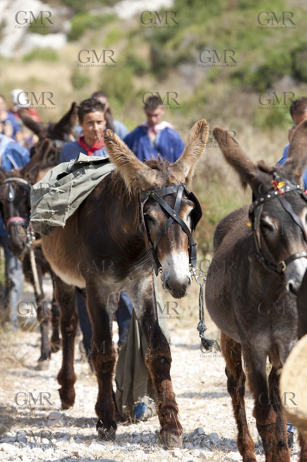 29 07 2009 - Marseille (FRA, 13) - Les Calanques