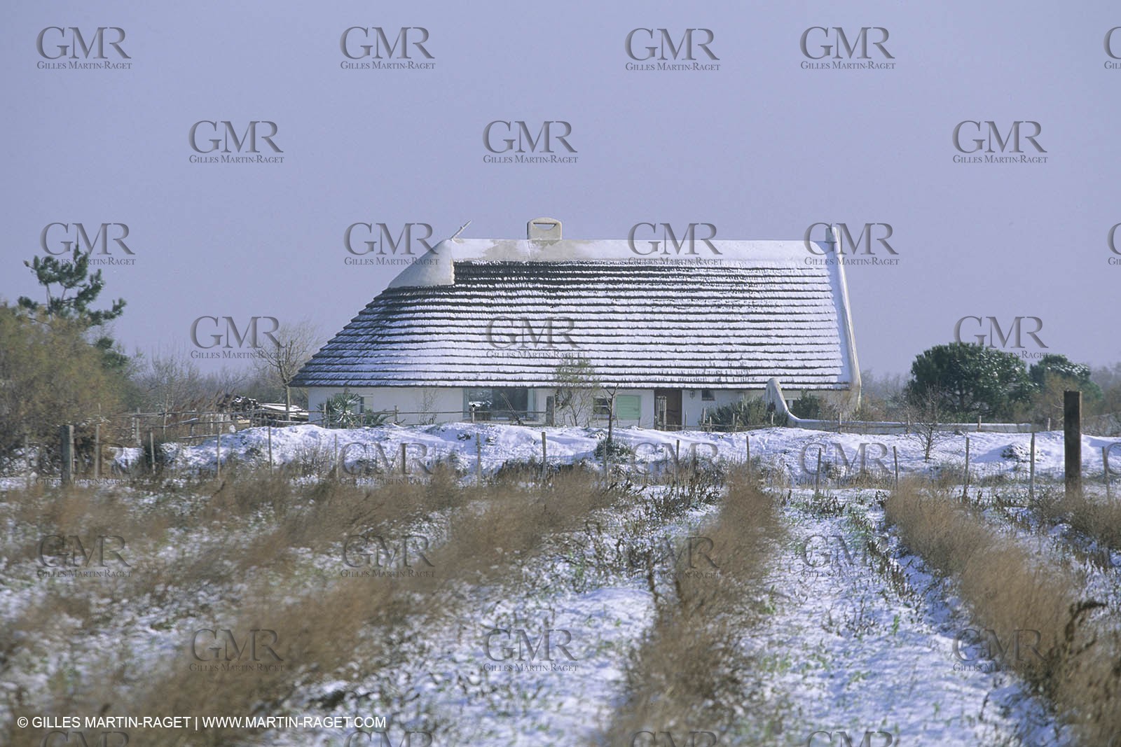 France, Provence, Neige en hiver   Snow in Provence