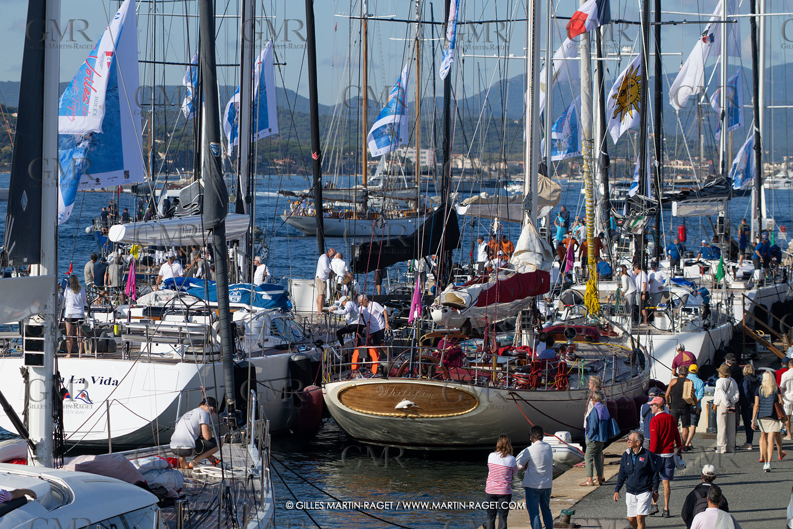 GMR_VST25_2266.jpg
