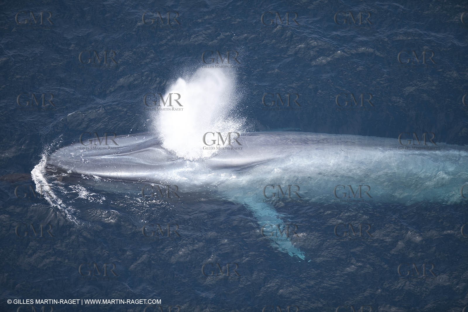 13 08 2009 - San Diego (USA,CA) - 33rd America's Cup - BMW ORACLE Racing - 90 ft Trimaran testings