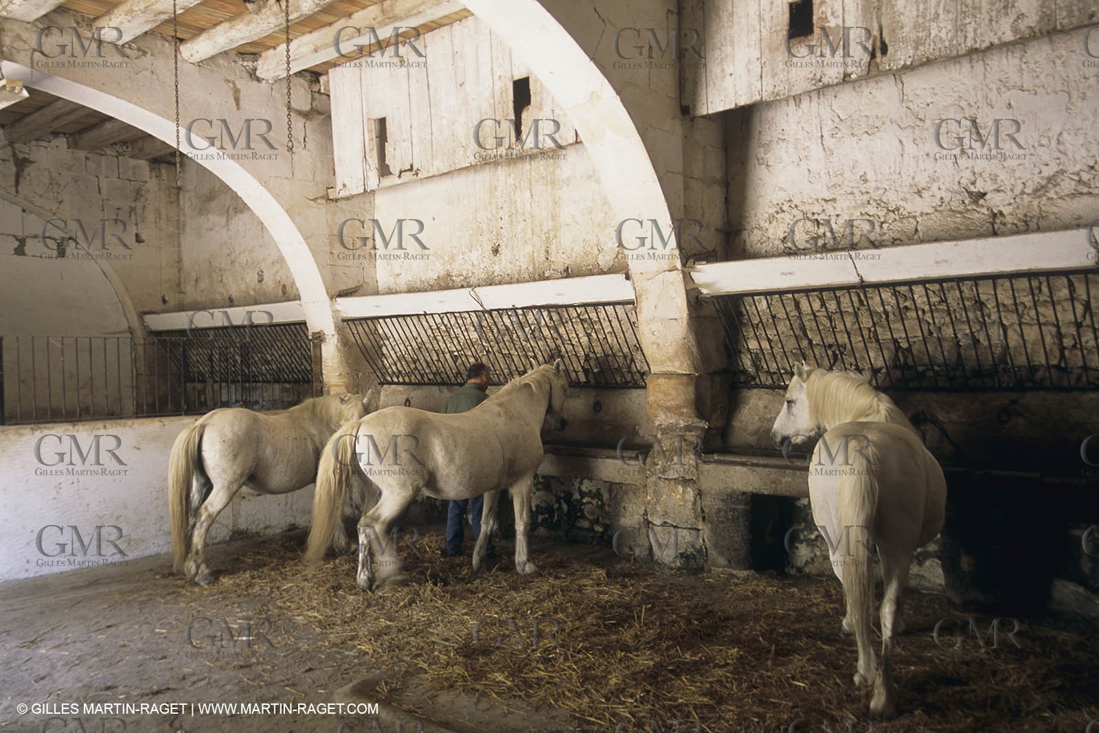 France, Provence, Camargue, Mas traditionnel de Camargue